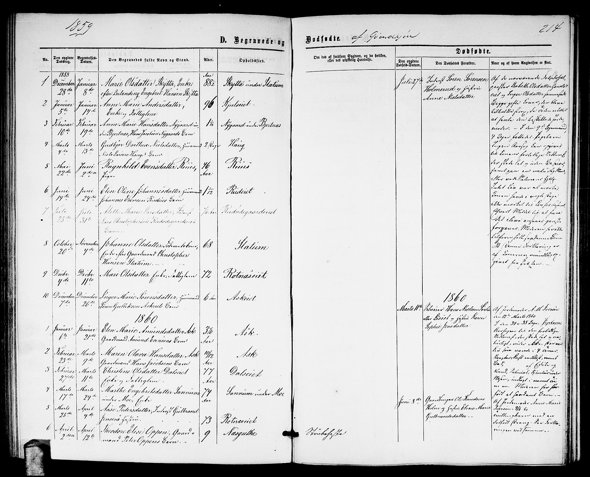 Nittedal prestekontor Kirkebøker, SAO/A-10365a/G/Ga/L0001: Parish register (copy) no. I 1, 1859-1878, p. 214
