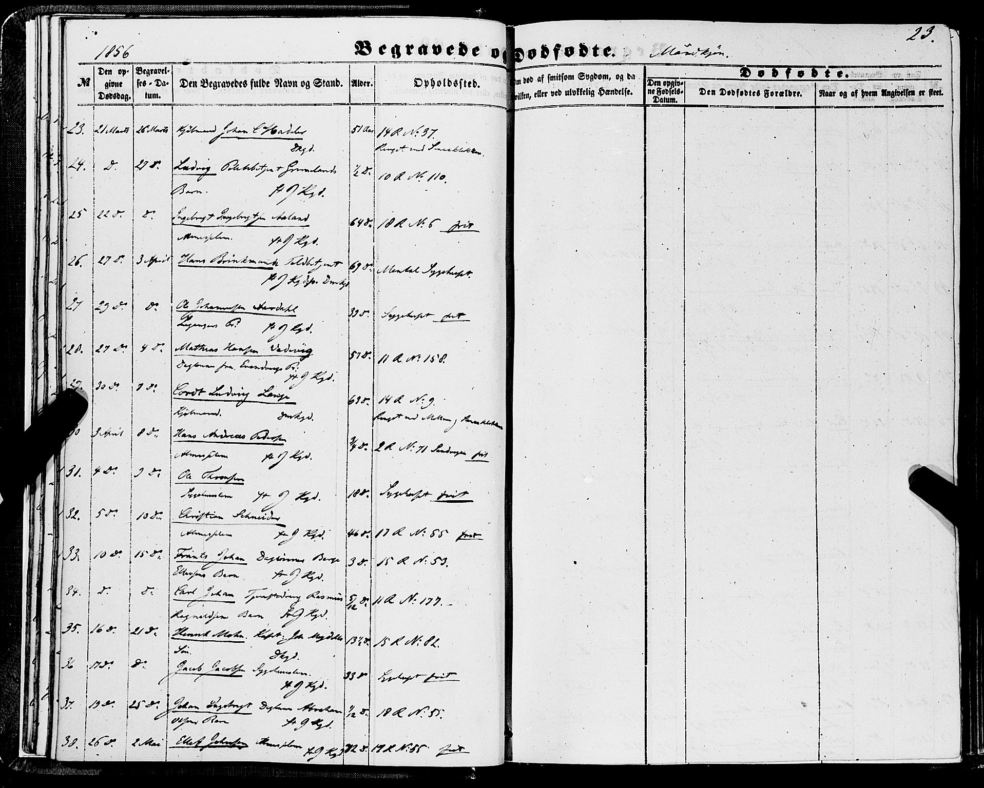 Domkirken sokneprestembete, SAB/A-74801/H/Haa/L0041: Parish register (official) no. E 2, 1853-1863, p. 23