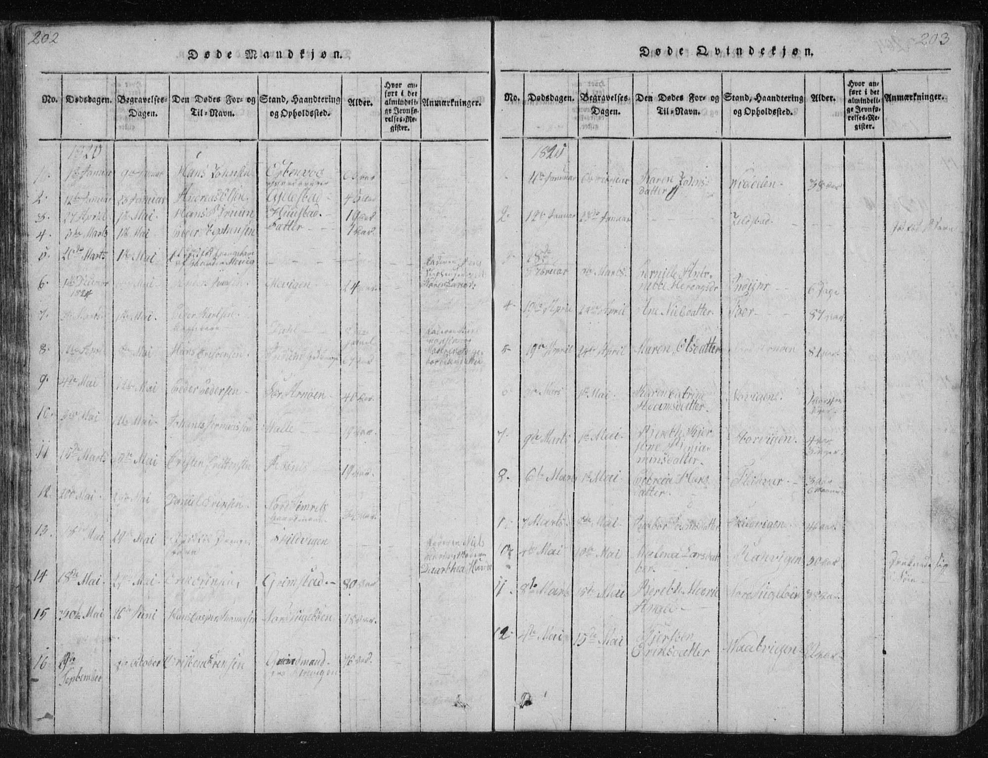 Ministerialprotokoller, klokkerbøker og fødselsregistre - Nordland, AV/SAT-A-1459/805/L0096: Parish register (official) no. 805A03, 1820-1837, p. 202-203