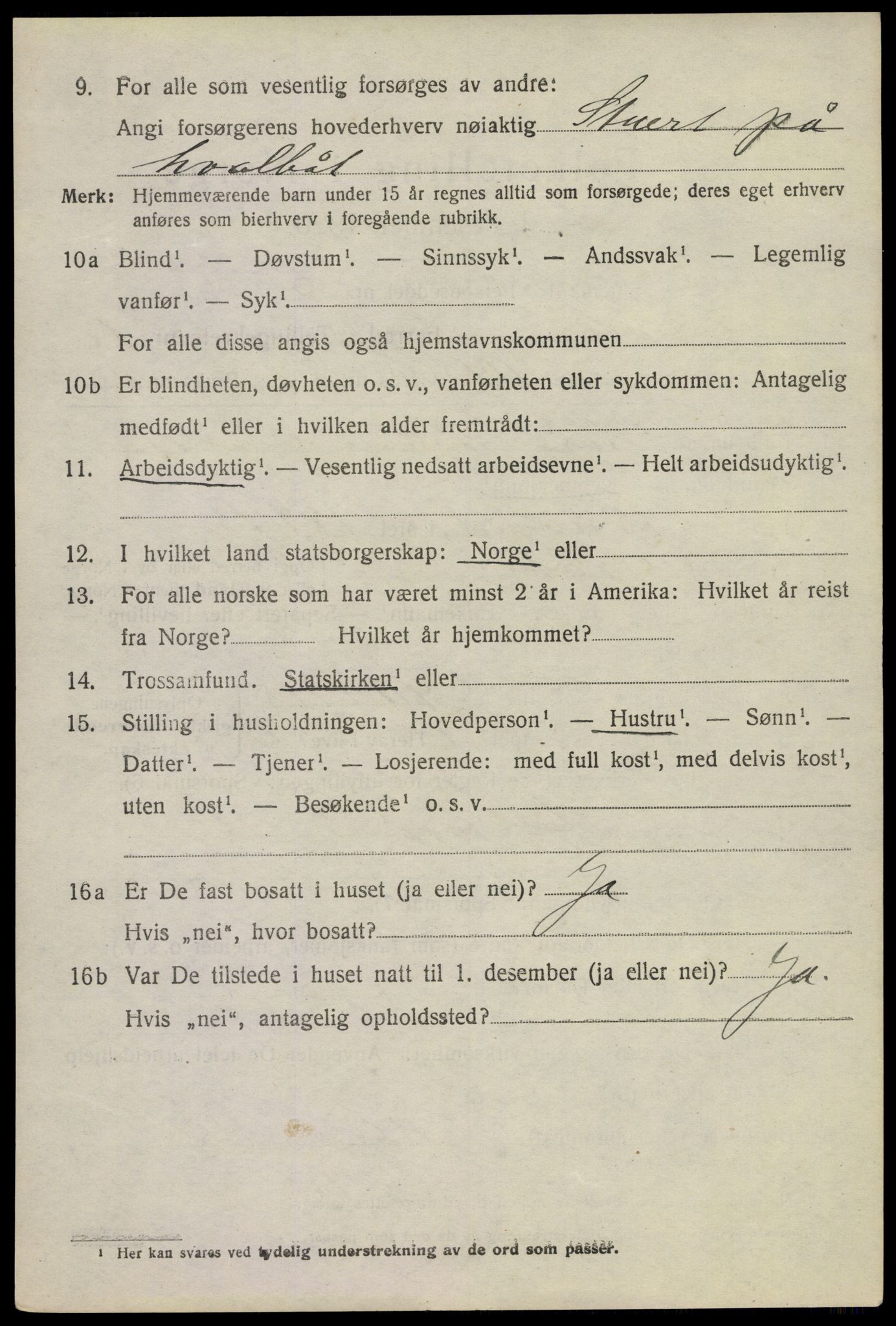 SAKO, 1920 census for Nøtterøy, 1920, p. 13524