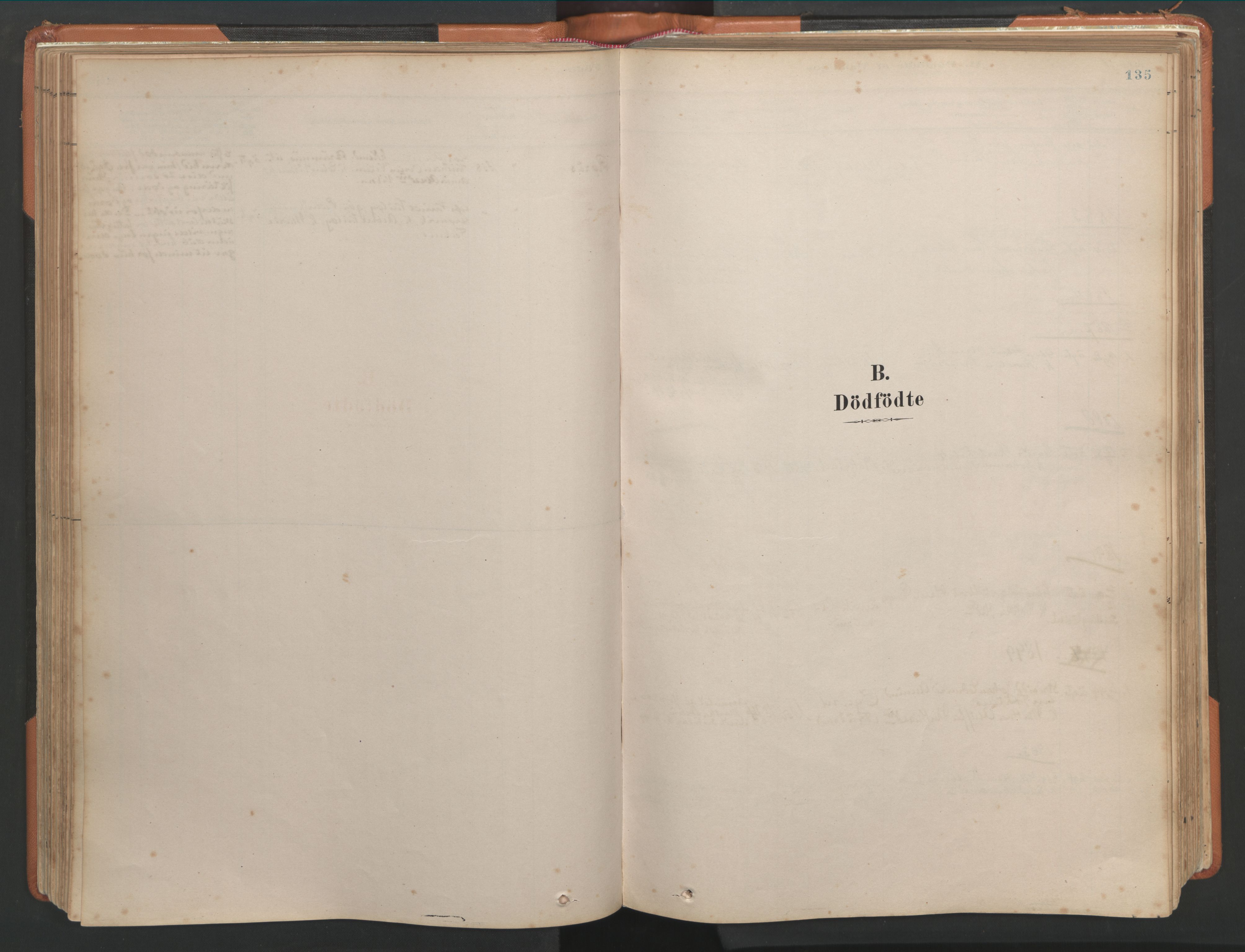 Ministerialprotokoller, klokkerbøker og fødselsregistre - Møre og Romsdal, SAT/A-1454/581/L0941: Parish register (official) no. 581A09, 1880-1919, p. 135