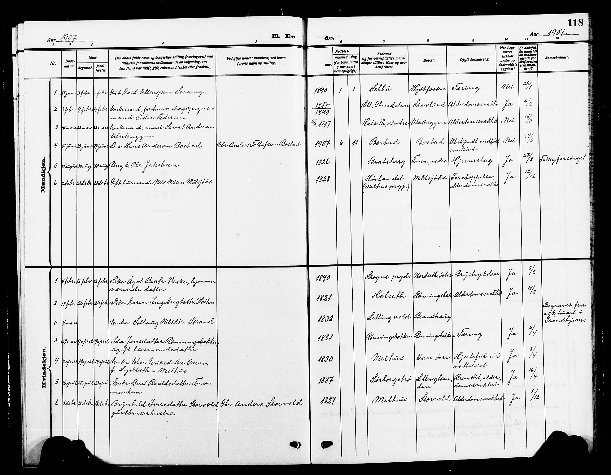 Ministerialprotokoller, klokkerbøker og fødselsregistre - Sør-Trøndelag, SAT/A-1456/618/L0453: Parish register (copy) no. 618C04, 1907-1925, p. 118