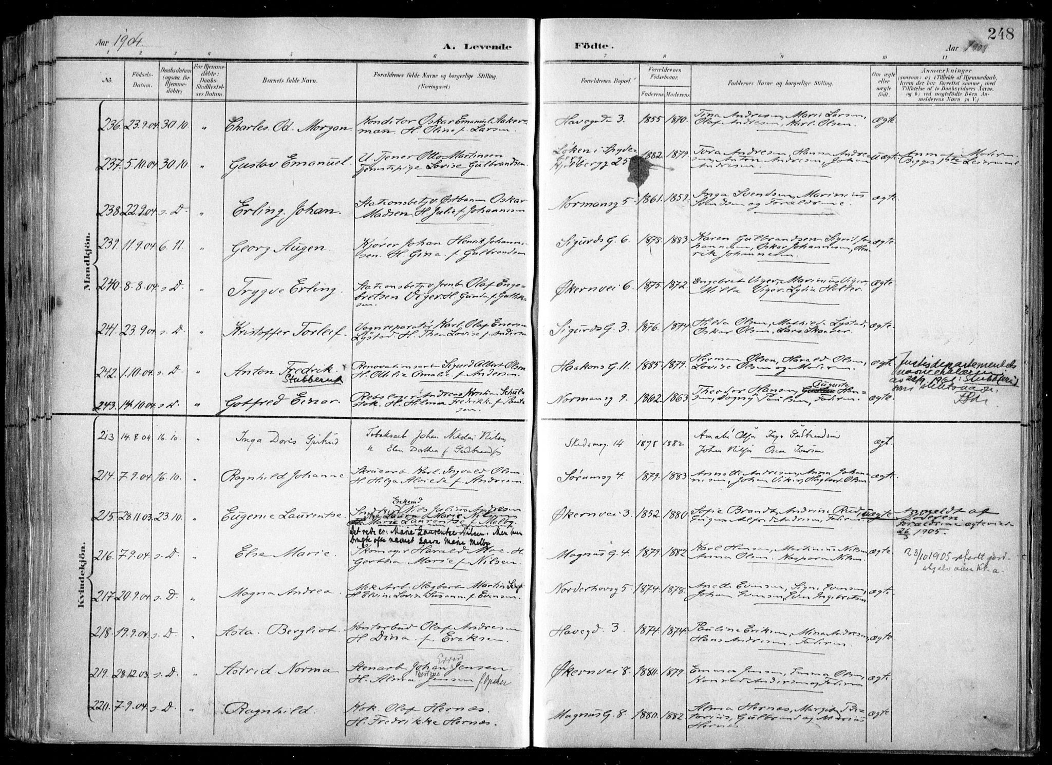 Kampen prestekontor Kirkebøker, SAO/A-10853/F/Fa/L0007: Parish register (official) no. I 7, 1897-1905, p. 248
