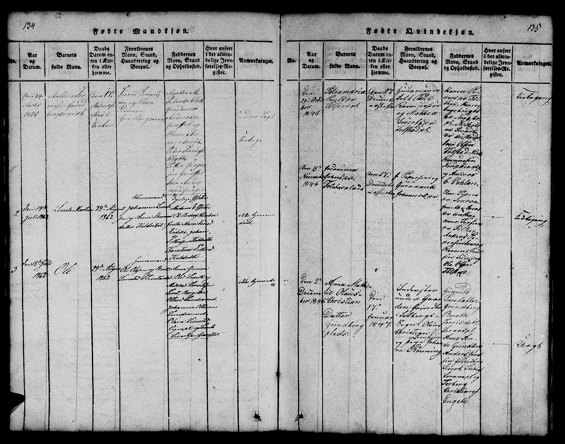 Ministerialprotokoller, klokkerbøker og fødselsregistre - Nord-Trøndelag, AV/SAT-A-1458/731/L0310: Parish register (copy) no. 731C01, 1816-1874, p. 134-135