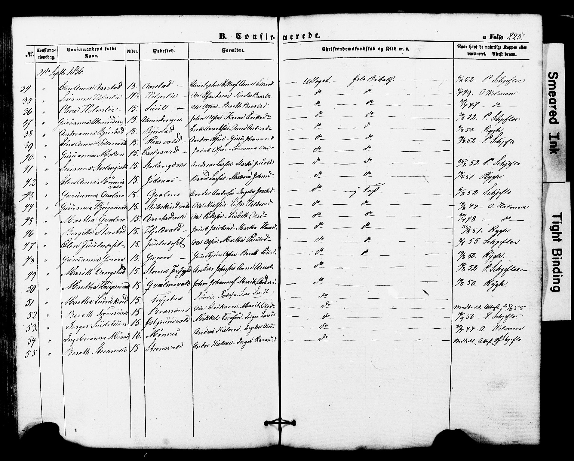 Ministerialprotokoller, klokkerbøker og fødselsregistre - Nord-Trøndelag, SAT/A-1458/724/L0268: Parish register (copy) no. 724C04, 1846-1878, p. 225