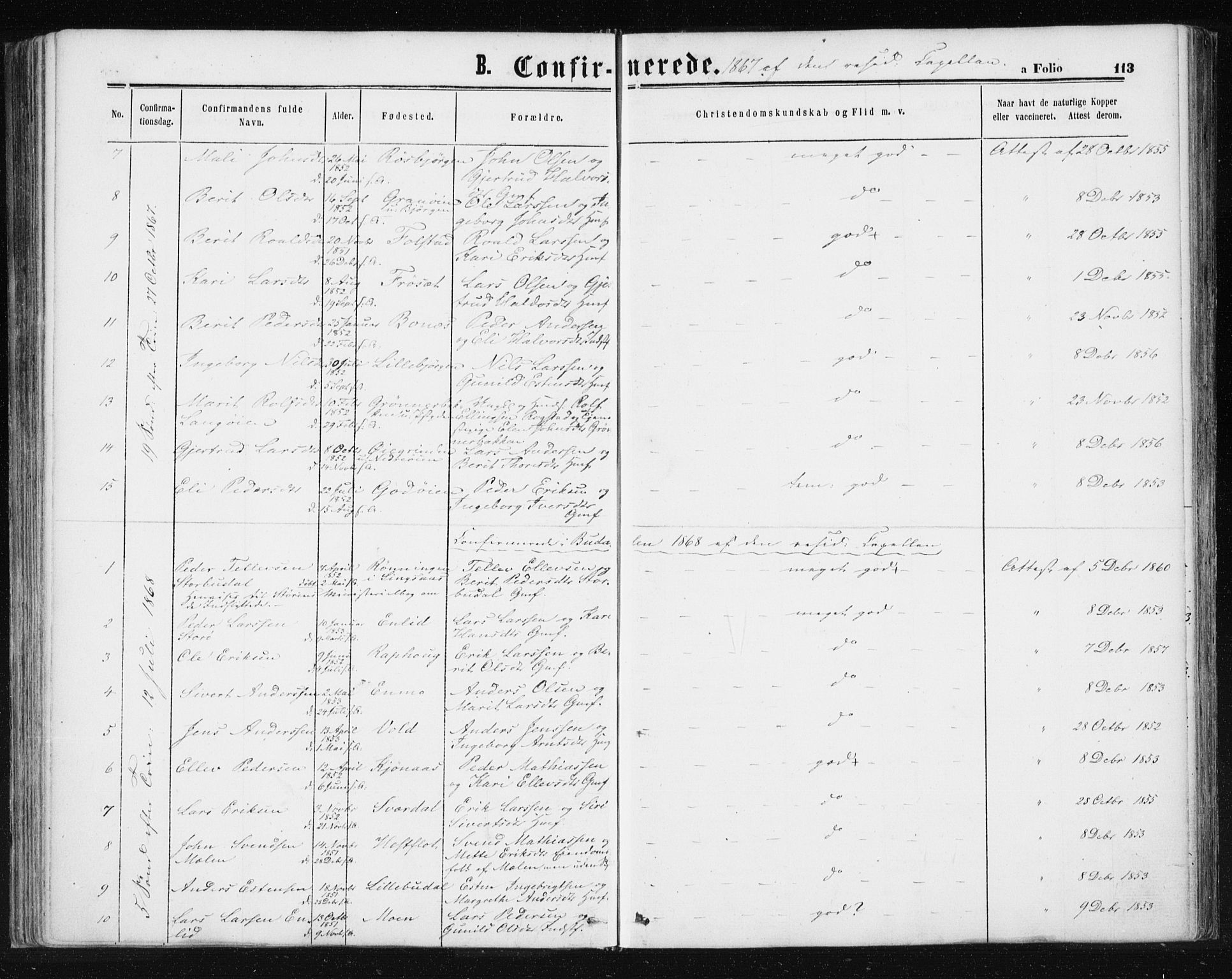 Ministerialprotokoller, klokkerbøker og fødselsregistre - Sør-Trøndelag, SAT/A-1456/687/L1001: Parish register (official) no. 687A07, 1863-1878, p. 113