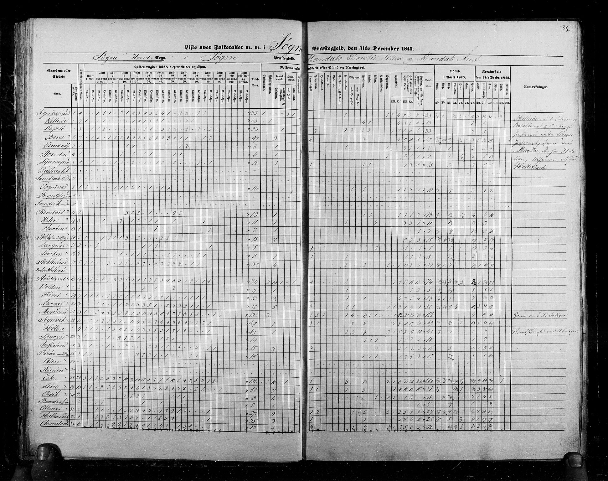 RA, Census 1845, vol. 6: Lister og Mandal amt og Stavanger amt, 1845, p. 35