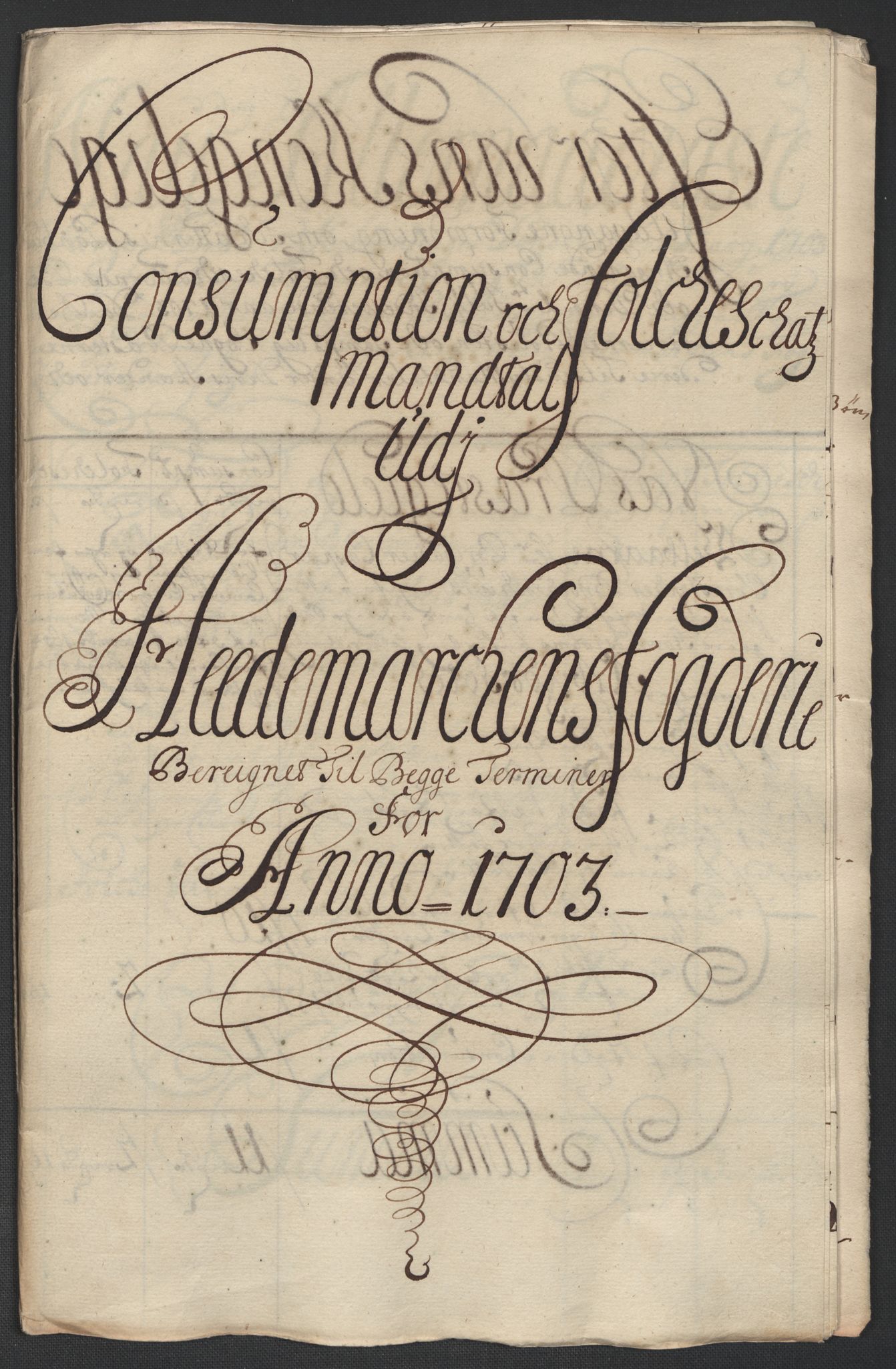 Rentekammeret inntil 1814, Reviderte regnskaper, Fogderegnskap, RA/EA-4092/R16/L1041: Fogderegnskap Hedmark, 1703-1704, p. 100