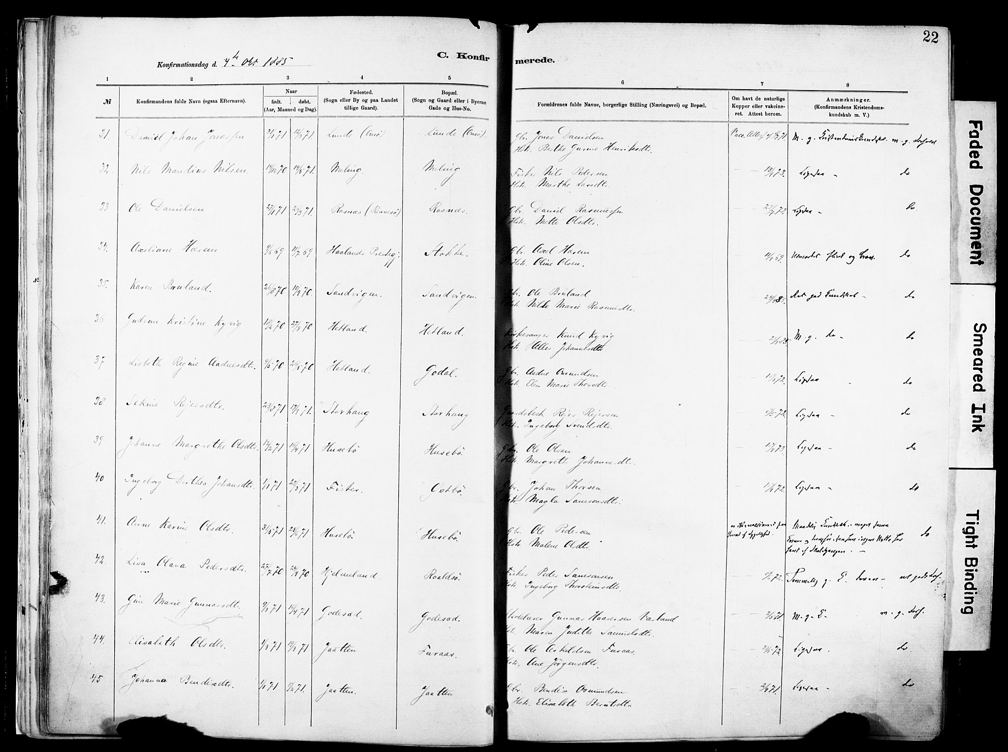 Hetland sokneprestkontor, AV/SAST-A-101826/30/30BA/L0012: Parish register (official) no. A 12, 1882-1912, p. 22