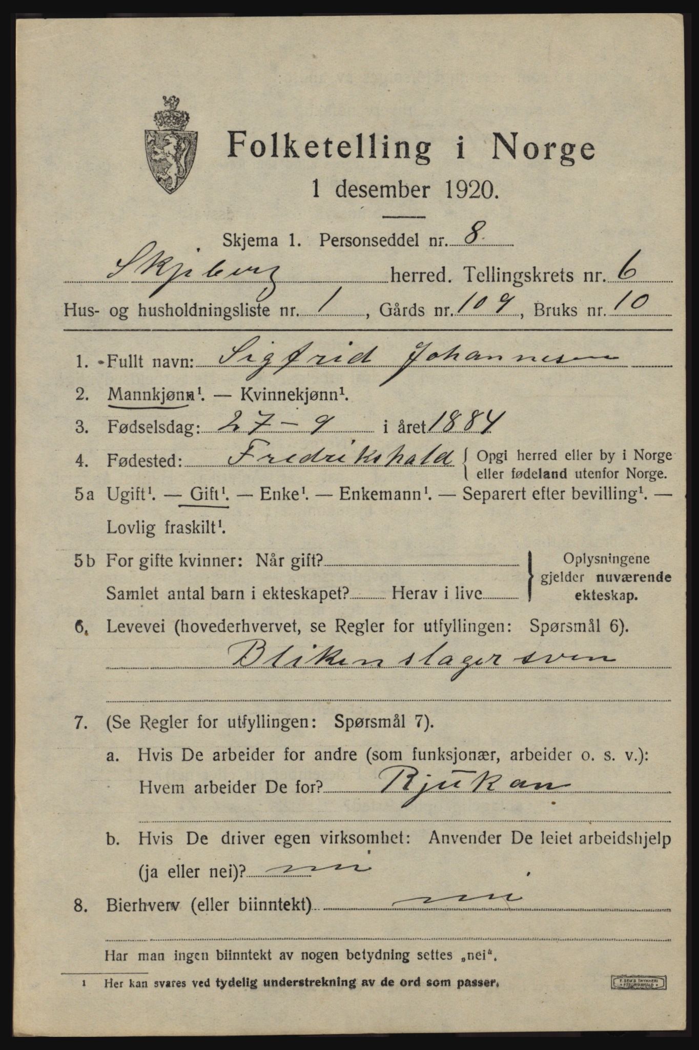 SAO, 1920 census for Skjeberg, 1920, p. 6613