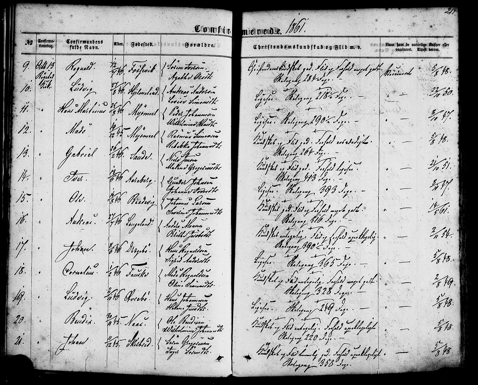 Gaular sokneprestembete, SAB/A-80001/H/Haa: Parish register (official) no. A 5, 1860-1881, p. 214