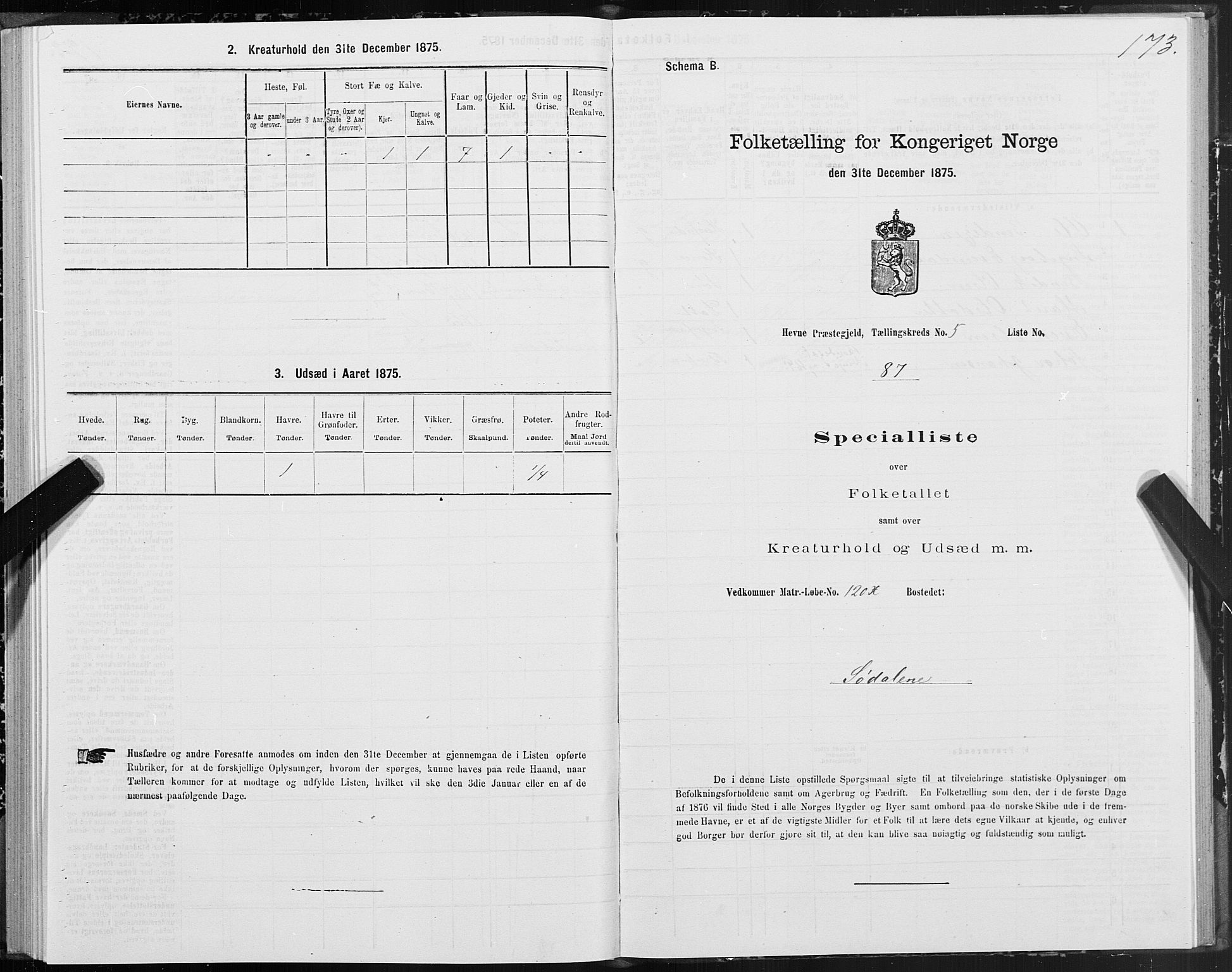 SAT, 1875 census for 1612P Hemne, 1875, p. 3173