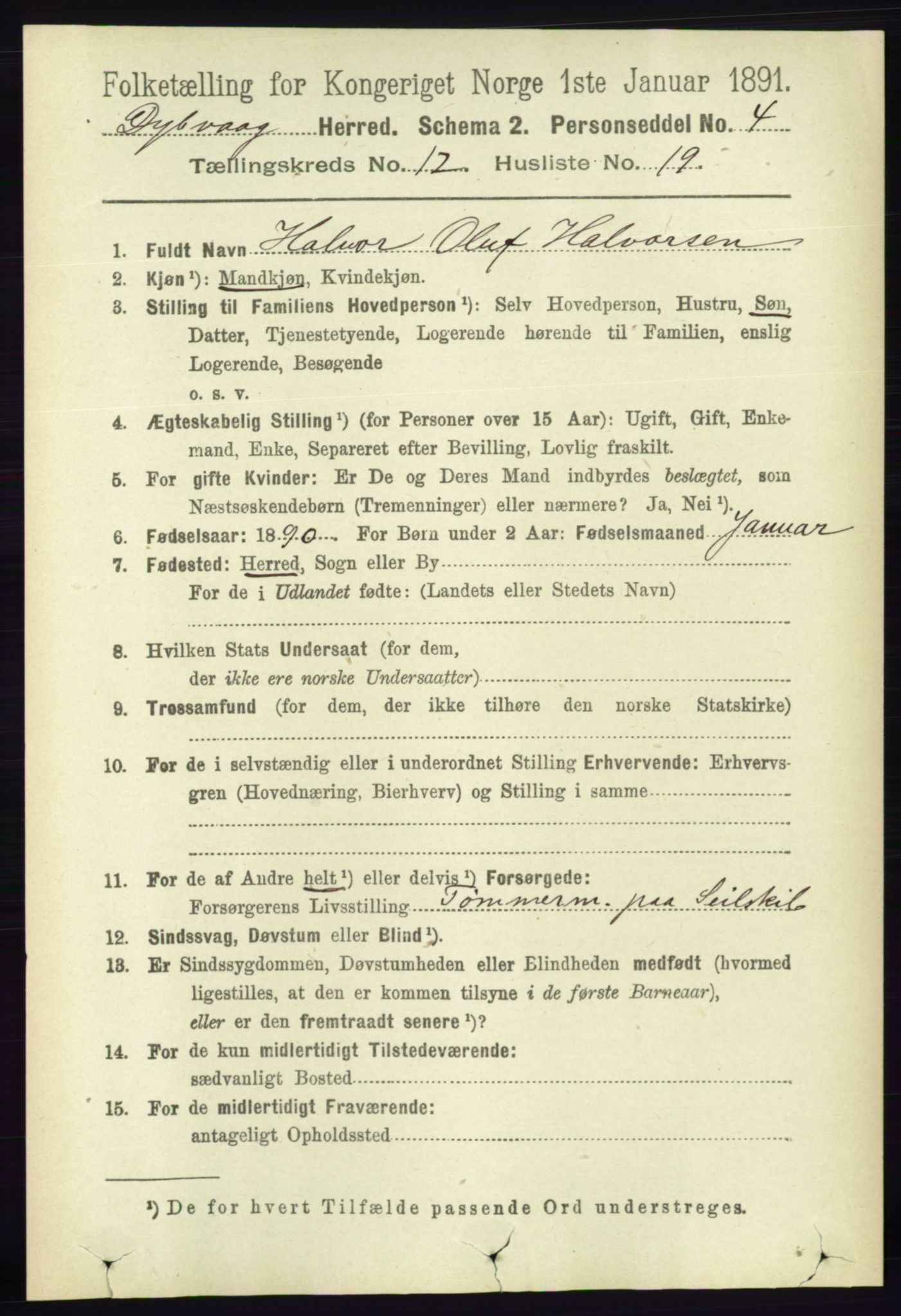 RA, 1891 census for 0915 Dypvåg, 1891, p. 4849