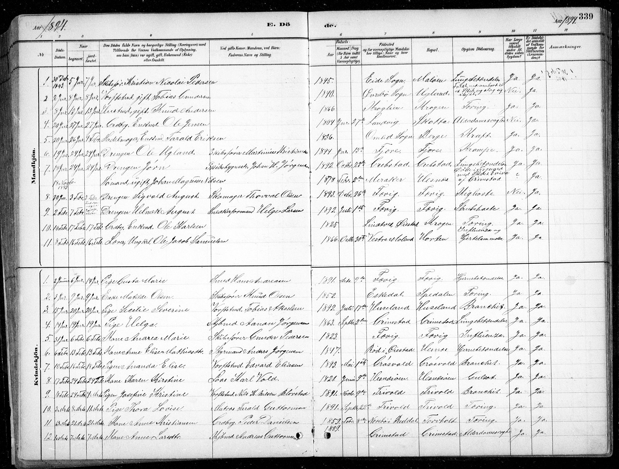 Fjære sokneprestkontor, SAK/1111-0011/F/Fb/L0011: Parish register (copy) no. B 11, 1881-1905, p. 339
