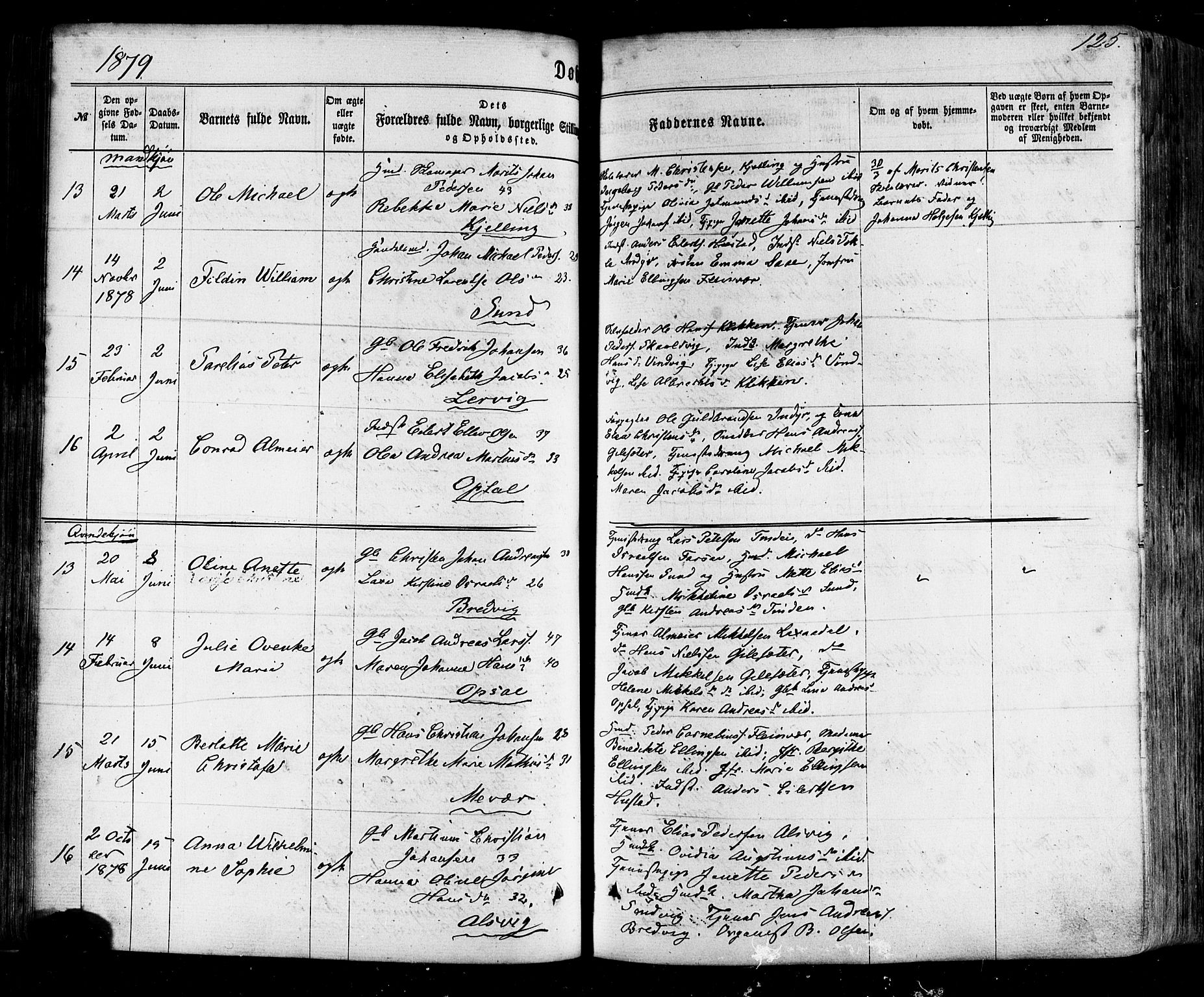 Ministerialprotokoller, klokkerbøker og fødselsregistre - Nordland, AV/SAT-A-1459/805/L0098: Parish register (official) no. 805A05, 1862-1879, p. 125