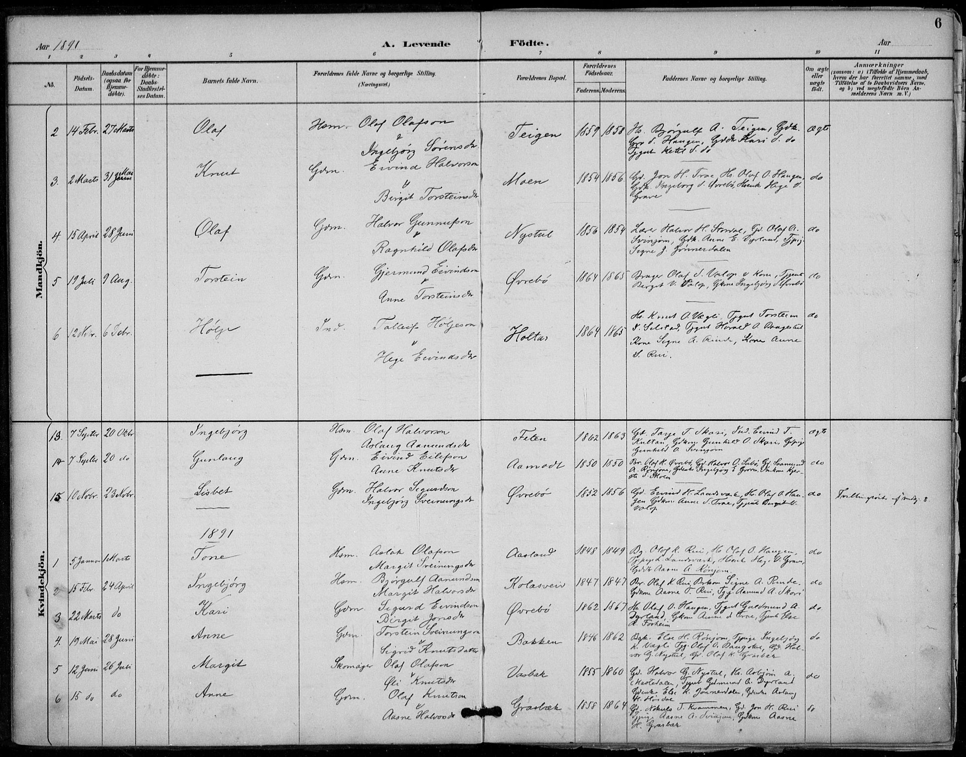 Seljord kirkebøker, SAKO/A-20/F/Fc/L0002: Parish register (official) no. III 2, 1887-1920, p. 6