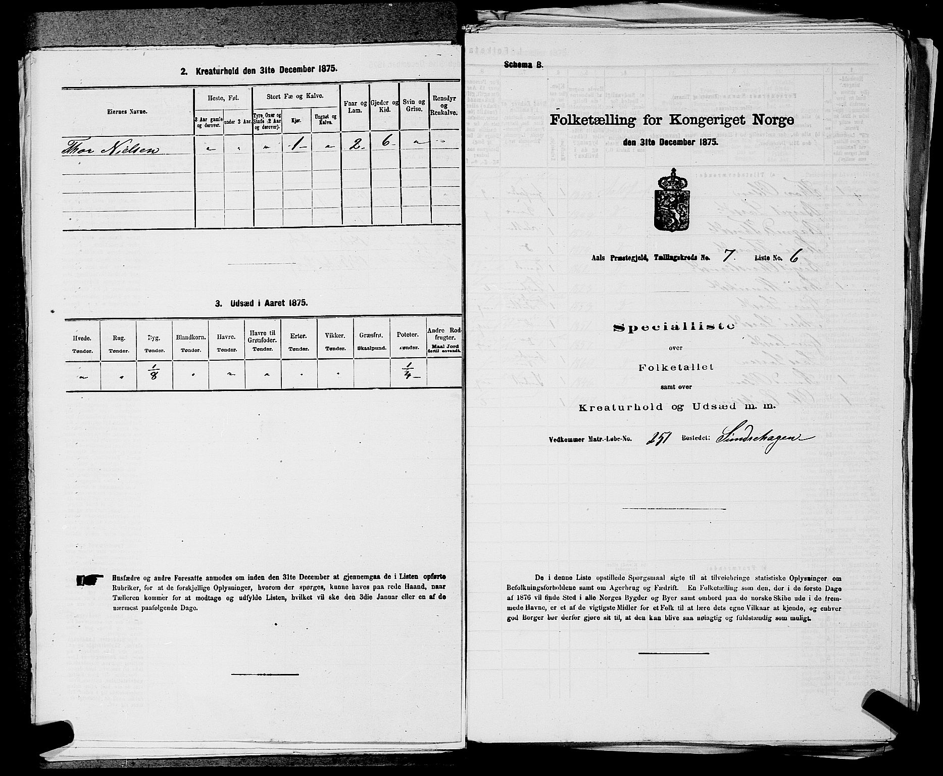 SAKO, 1875 census for 0619P Ål, 1875, p. 846