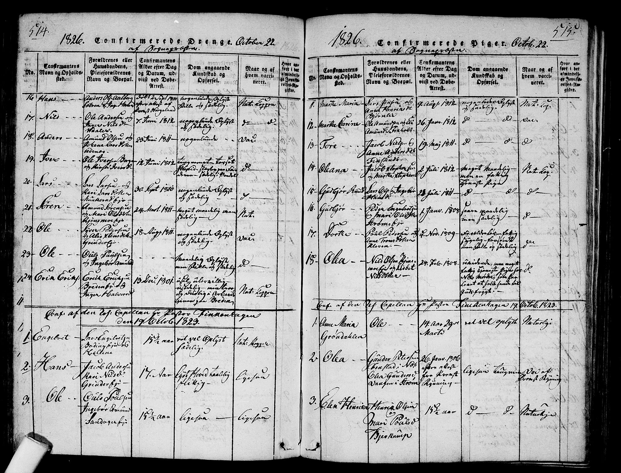 Nes prestekontor Kirkebøker, SAO/A-10410/G/Ga/L0001: Parish register (copy) no. I 1, 1815-1835, p. 514-515