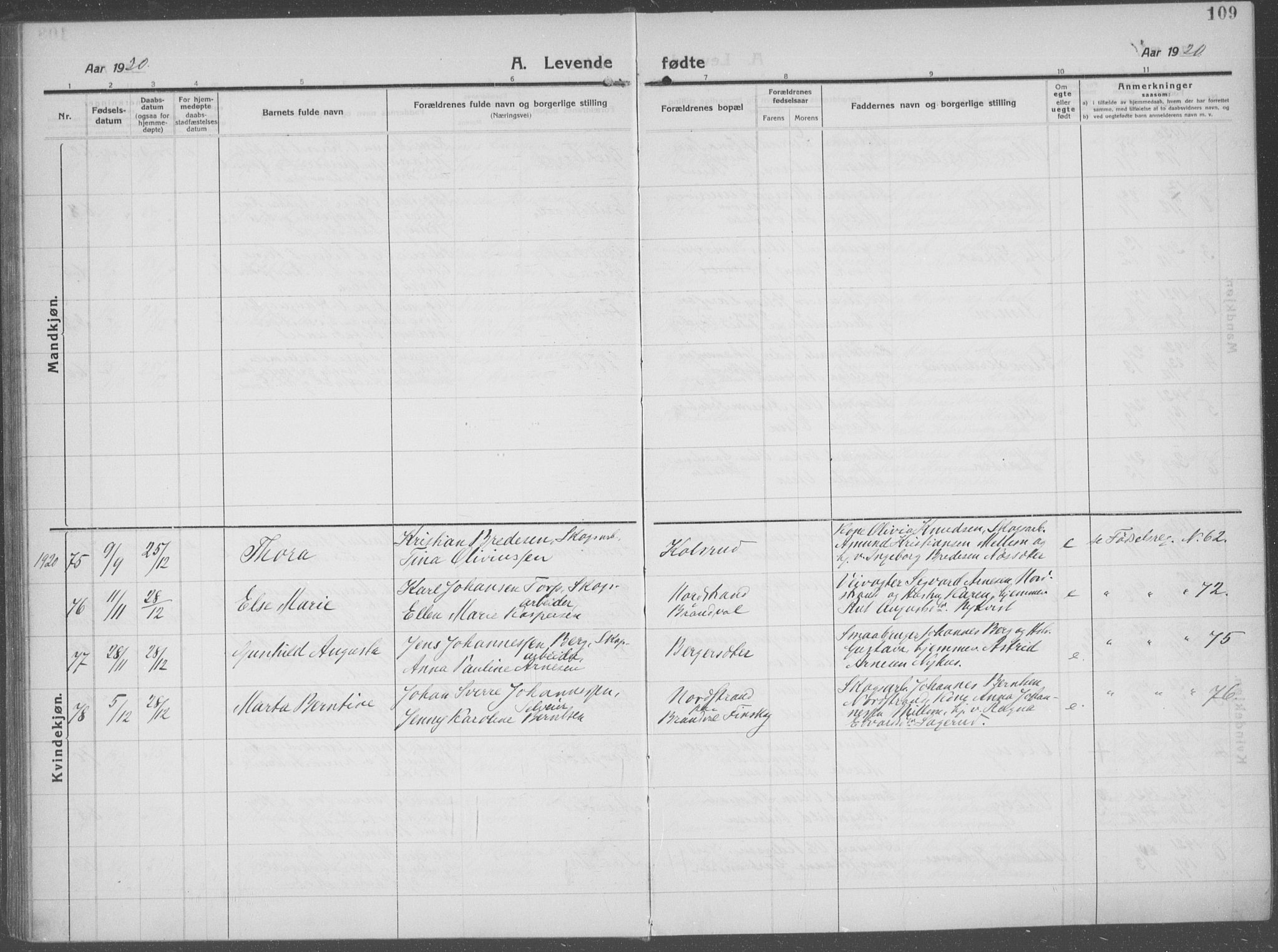 Brandval prestekontor, AV/SAH-PREST-034/H/Ha/Haa/L0004: Parish register (official) no. 4, 1910-1924, p. 109