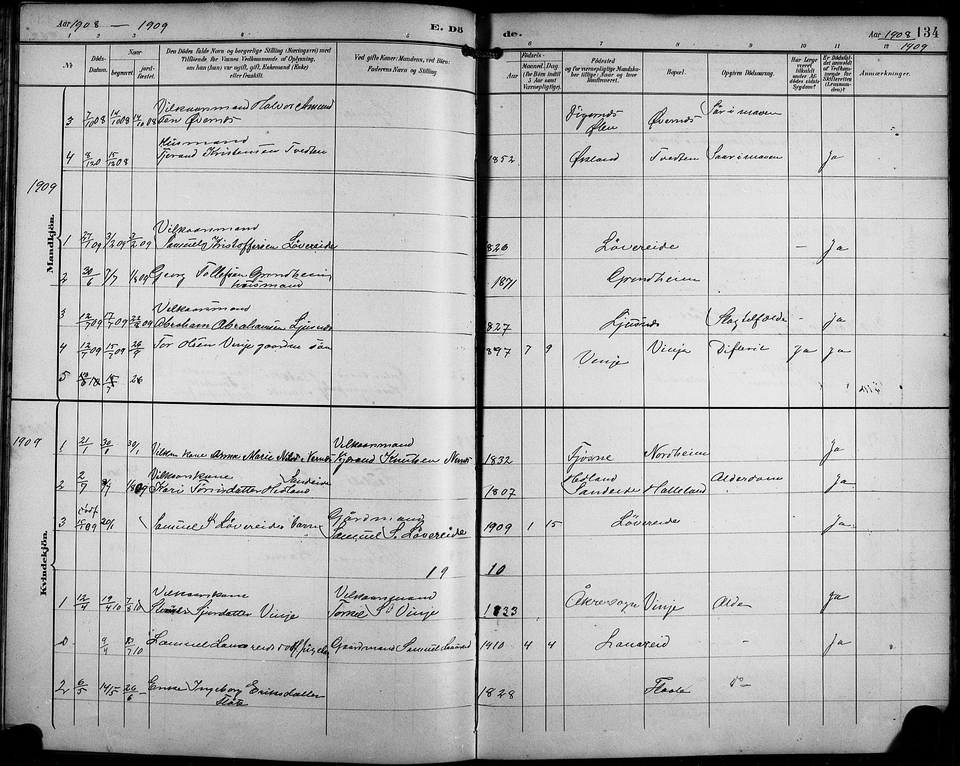 Etne sokneprestembete, AV/SAB-A-75001/H/Hab: Parish register (copy) no. C 5, 1896-1920, p. 134