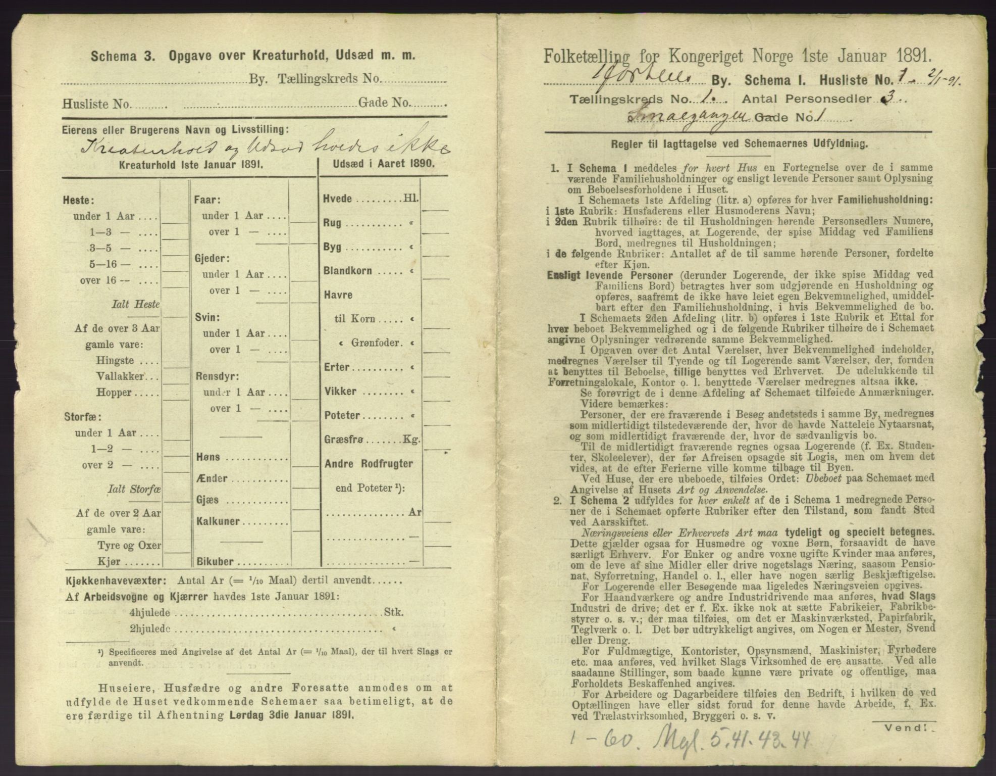 RA, 1891 census for 0703 Horten, 1891, p. 33