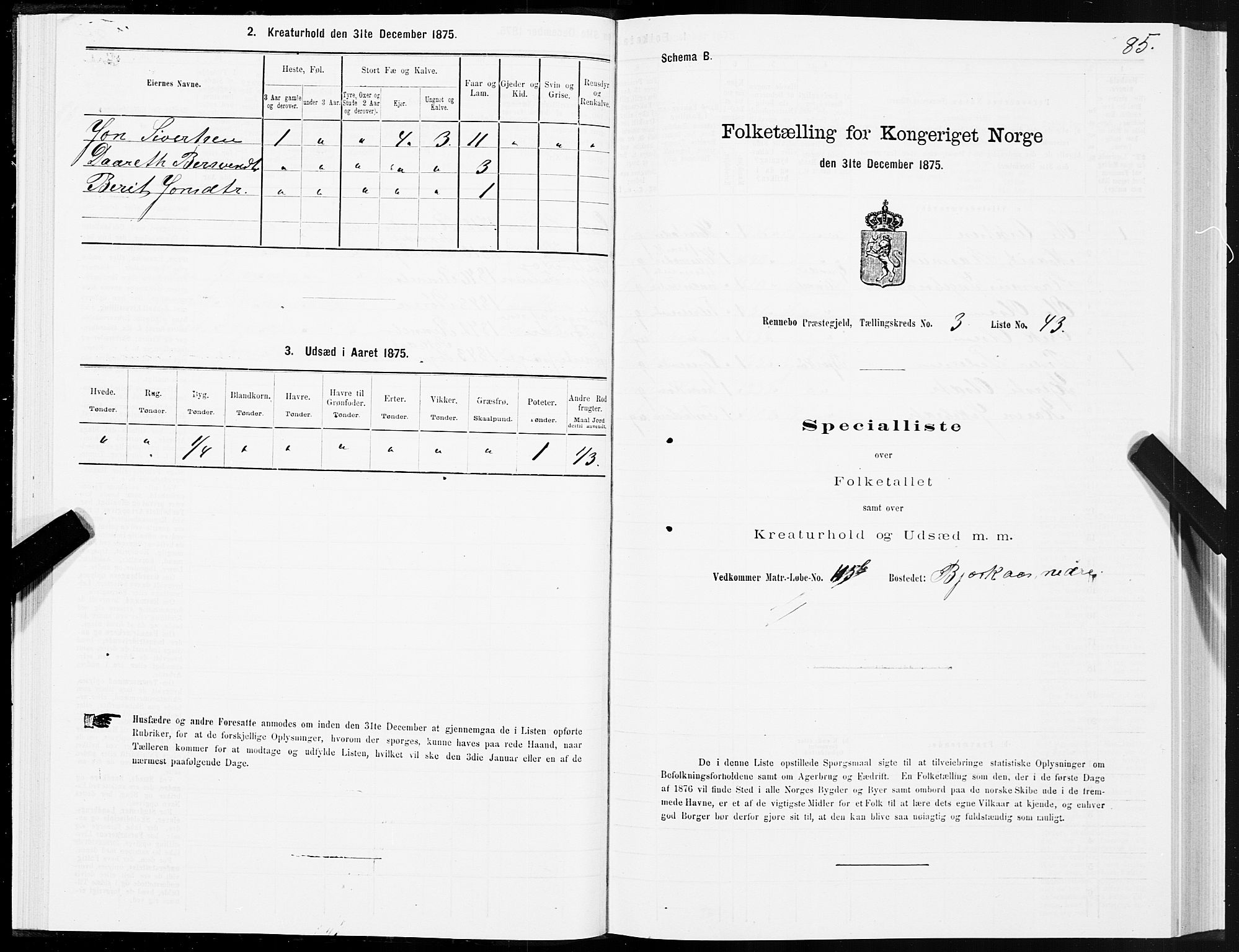 SAT, 1875 census for 1635P Rennebu, 1875, p. 2085