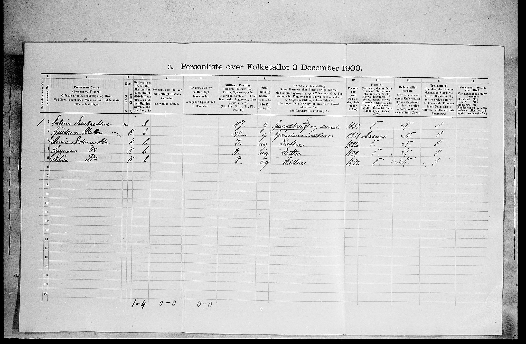 SAH, 1900 census for Våler, 1900, p. 54