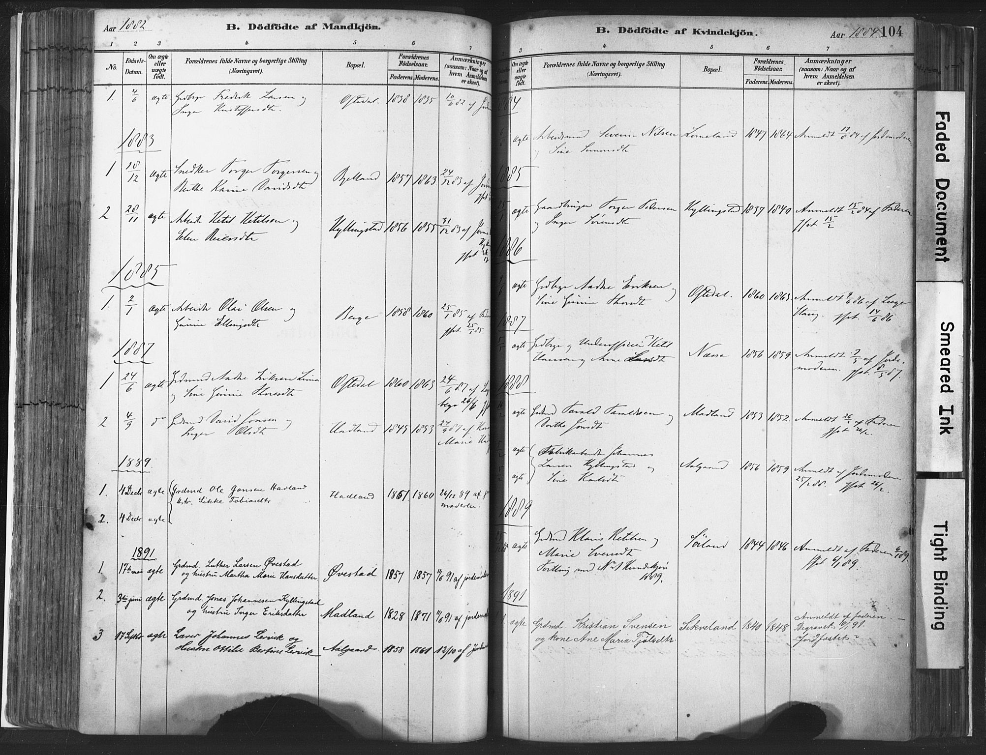 Lye sokneprestkontor, SAST/A-101794/001/30BA/L0010: Parish register (official) no. A 10, 1881-1896, p. 104