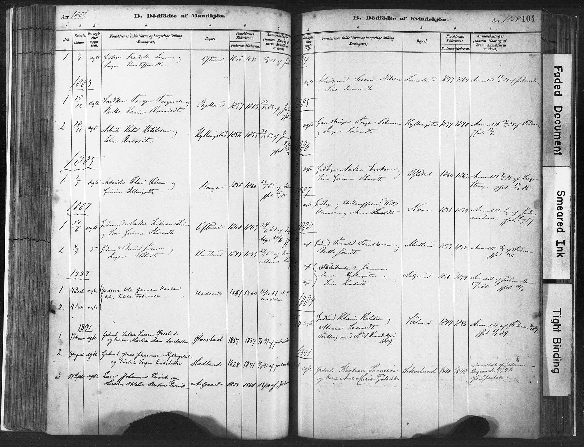 Lye sokneprestkontor, AV/SAST-A-101794/001/30BA/L0010: Parish register (official) no. A 10, 1881-1896, p. 104