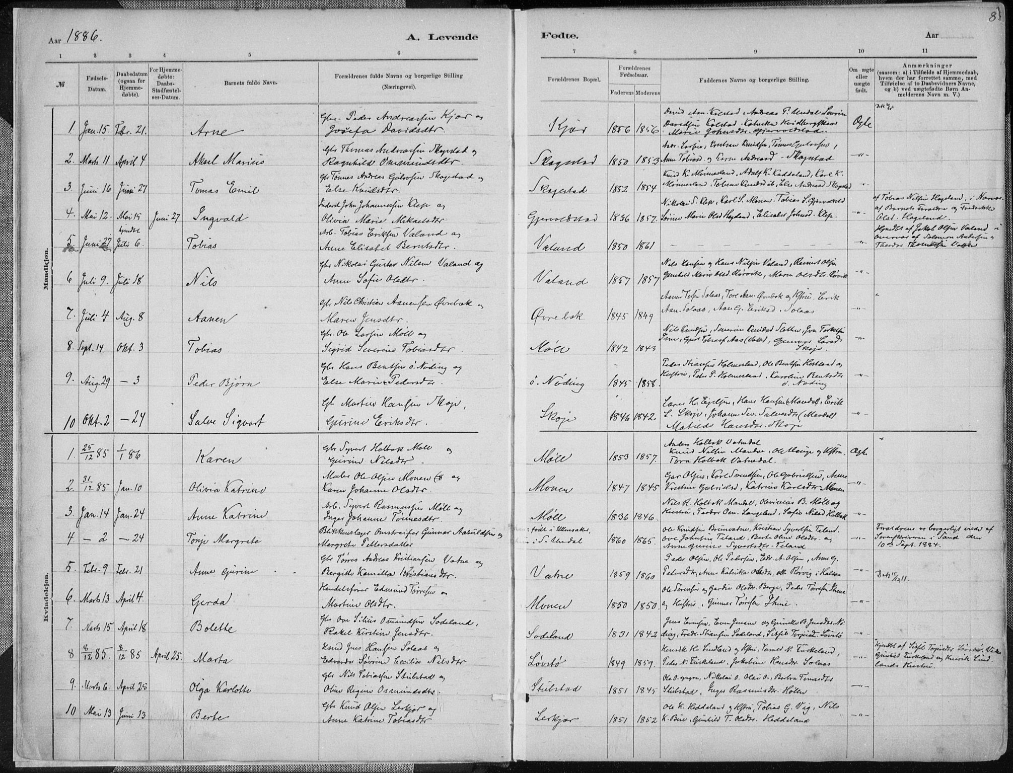 Holum sokneprestkontor, SAK/1111-0022/F/Fa/Faa/L0007: Parish register (official) no. A 7, 1884-1907, p. 8