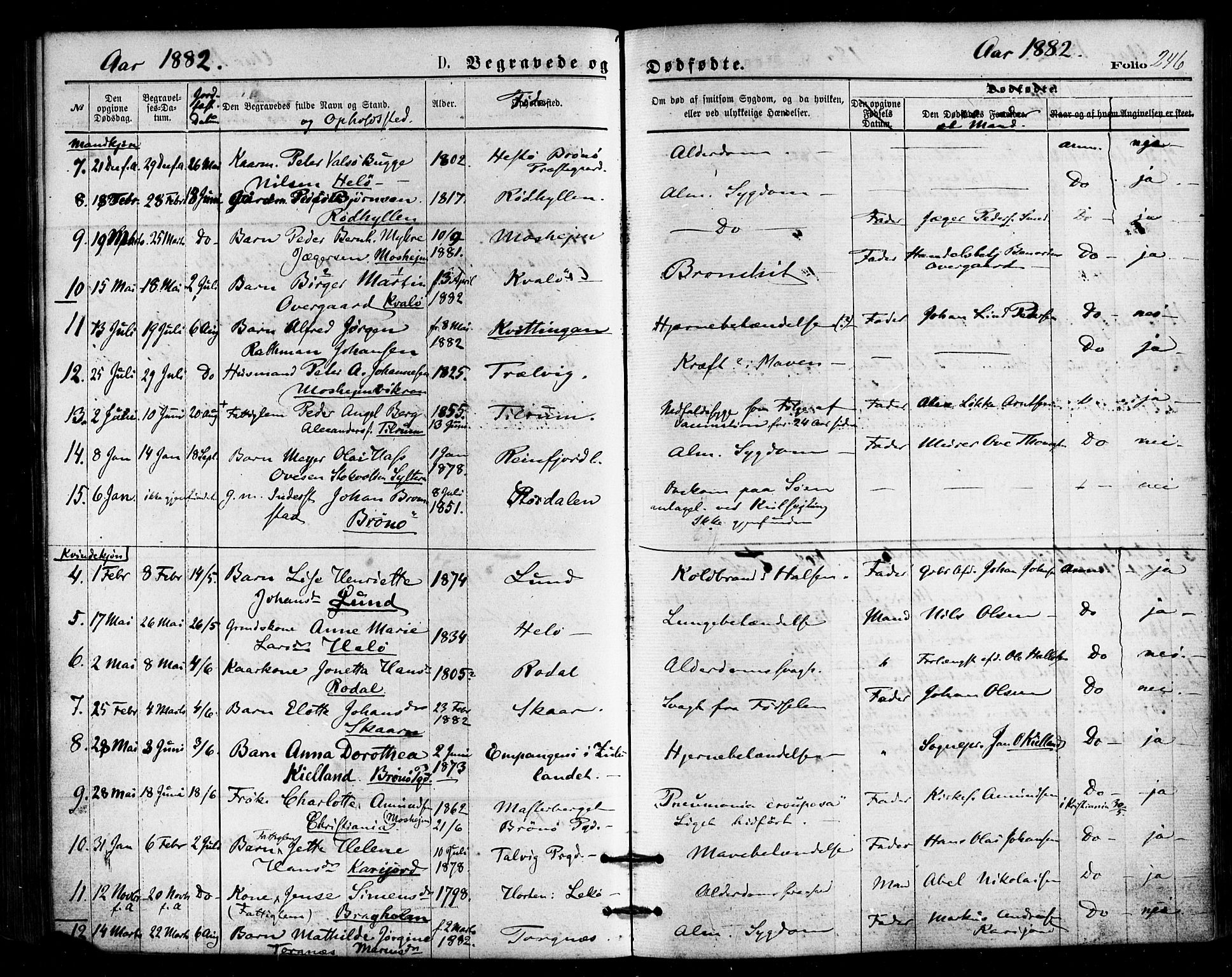 Ministerialprotokoller, klokkerbøker og fødselsregistre - Nordland, SAT/A-1459/813/L0199: Parish register (official) no. 813A09, 1875-1885, p. 246