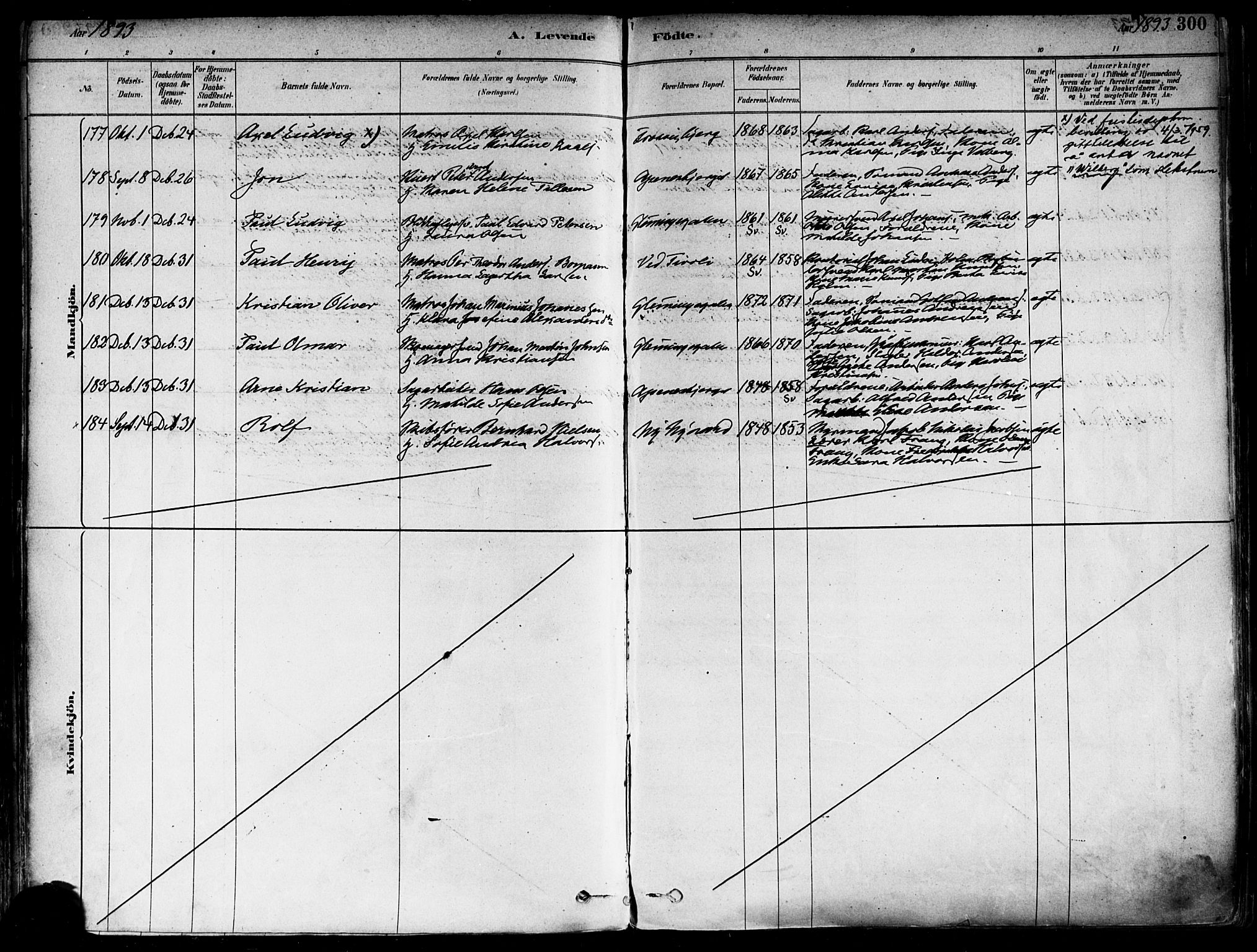 Fredrikstad domkirkes prestekontor Kirkebøker, AV/SAO-A-10906/F/Fa/L0002: Parish register (official) no. 2, 1878-1894, p. 300