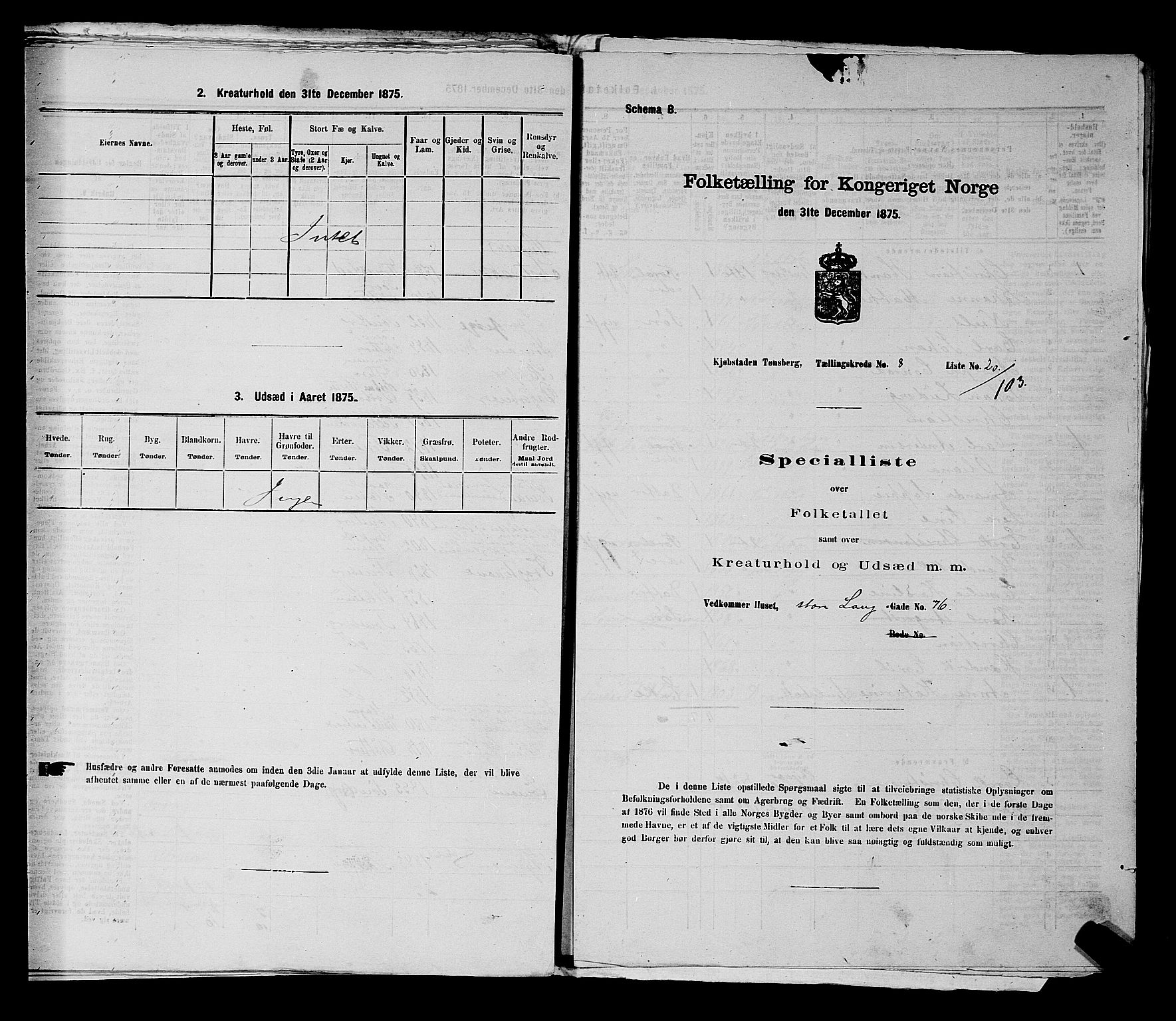 SAKO, 1875 census for 0705P Tønsberg, 1875, p. 262