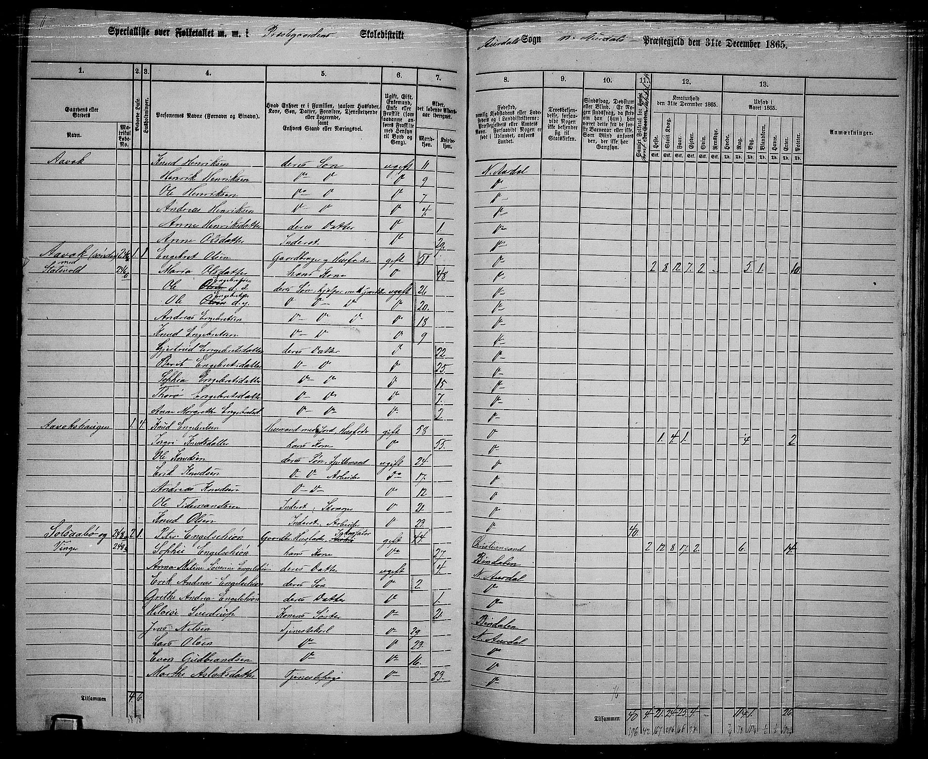 RA, 1865 census for Nord-Aurdal, 1865, p. 187