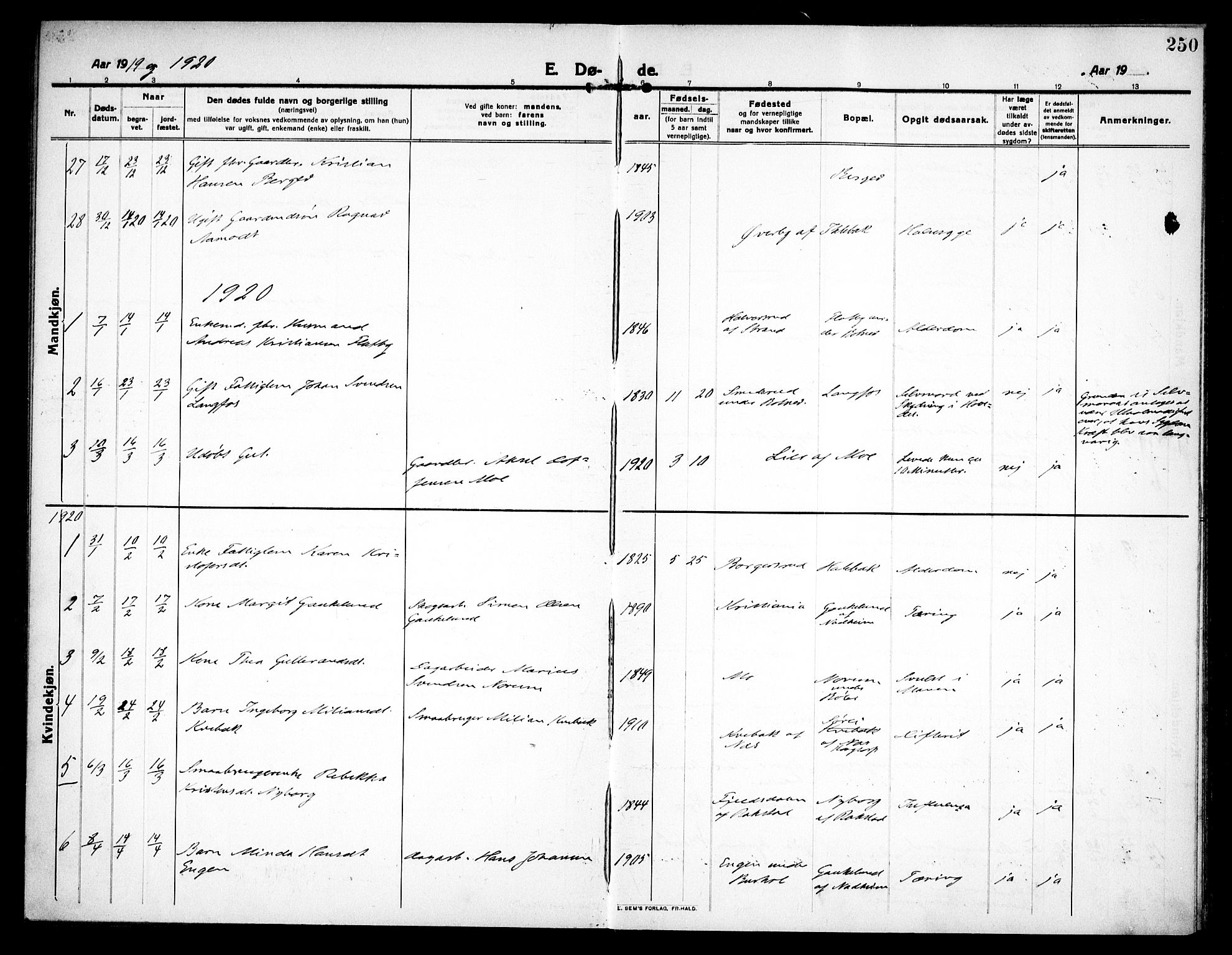 Høland prestekontor Kirkebøker, AV/SAO-A-10346a/F/Fa/L0016: Parish register (official) no. I 16, 1912-1921, p. 250