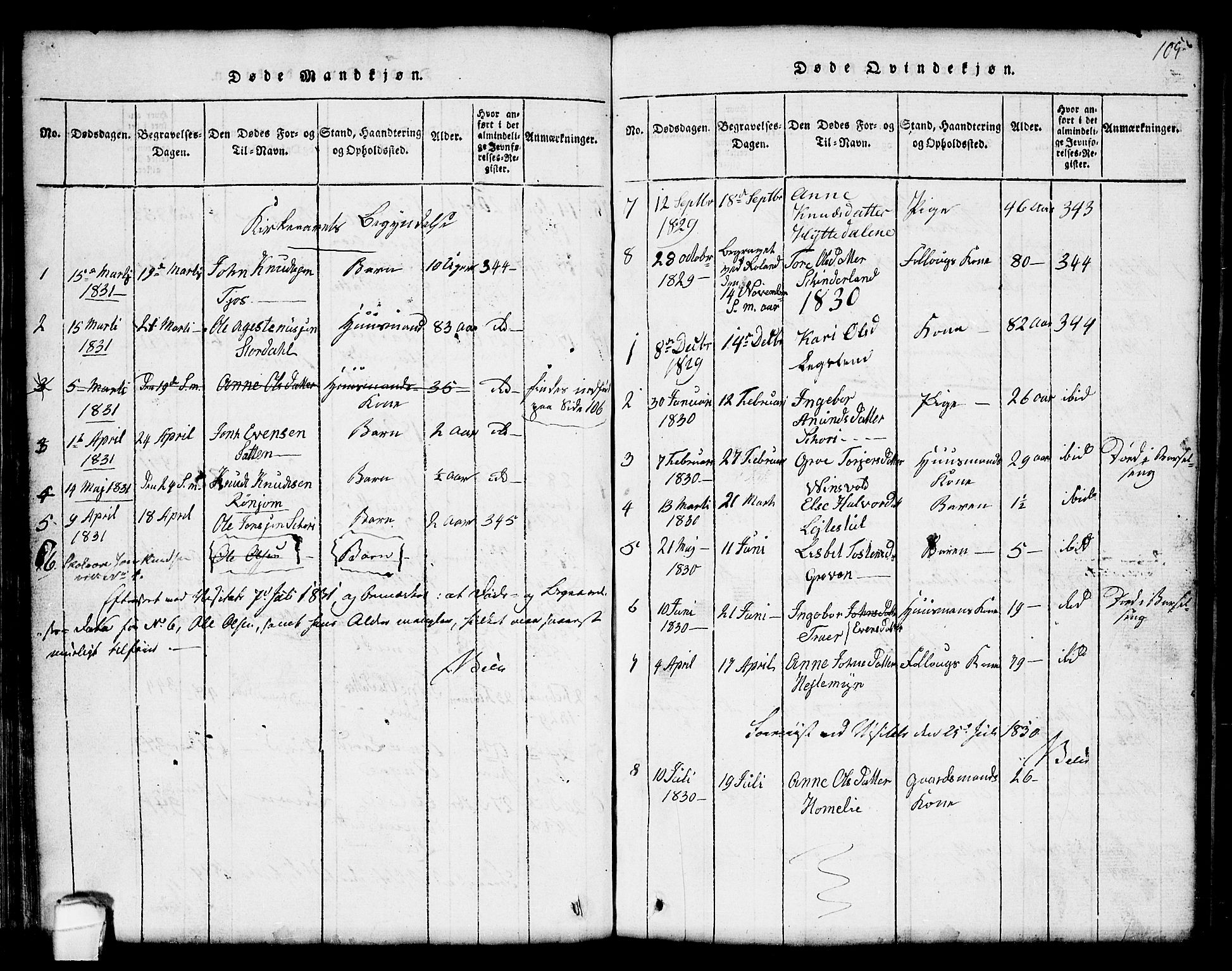 Seljord kirkebøker, SAKO/A-20/G/Gc/L0001: Parish register (copy) no. III 1, 1815-1849, p. 105