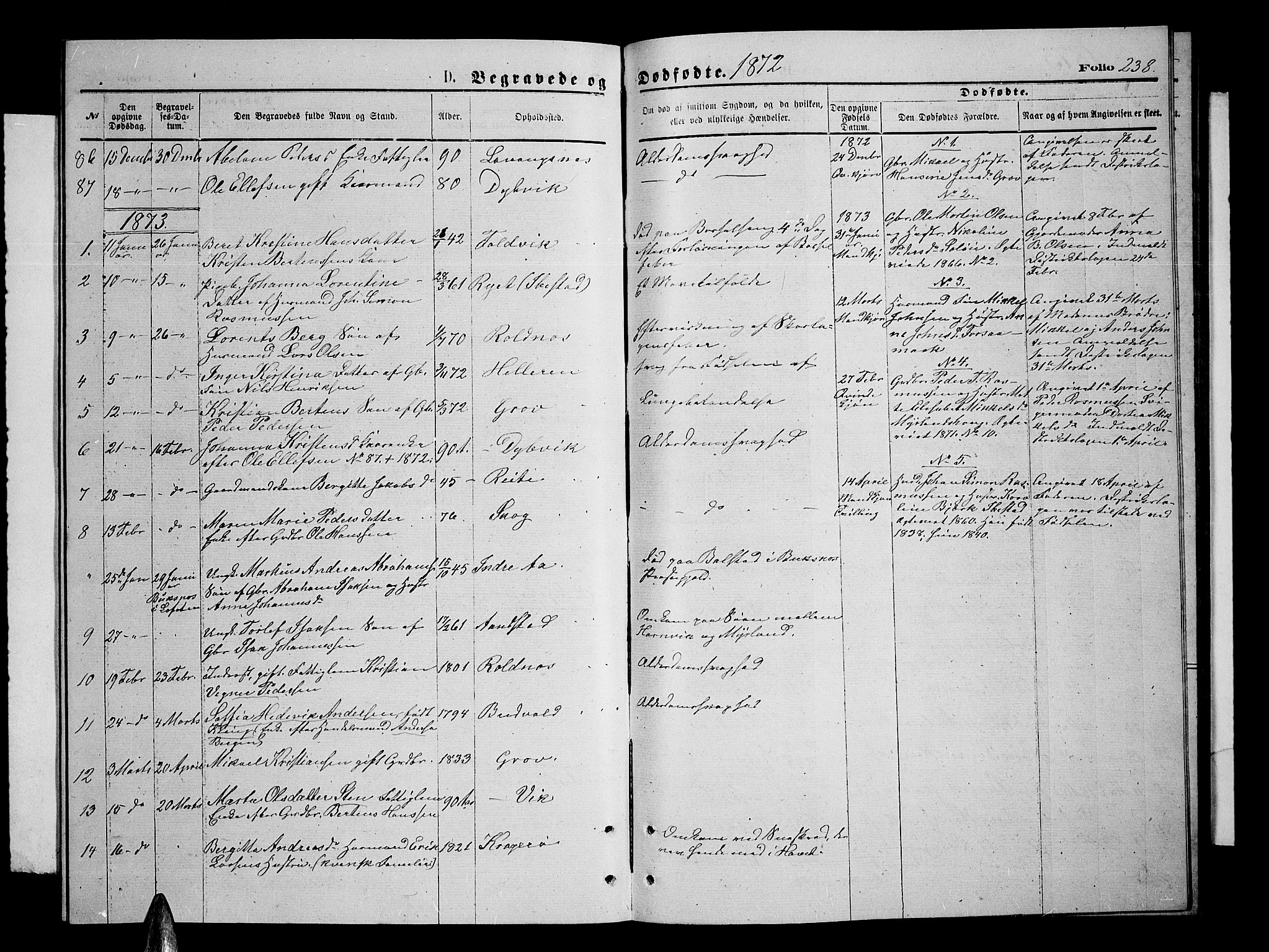 Ibestad sokneprestembete, SATØ/S-0077/H/Ha/Hab/L0006klokker: Parish register (copy) no. 6, 1871-1879, p. 238