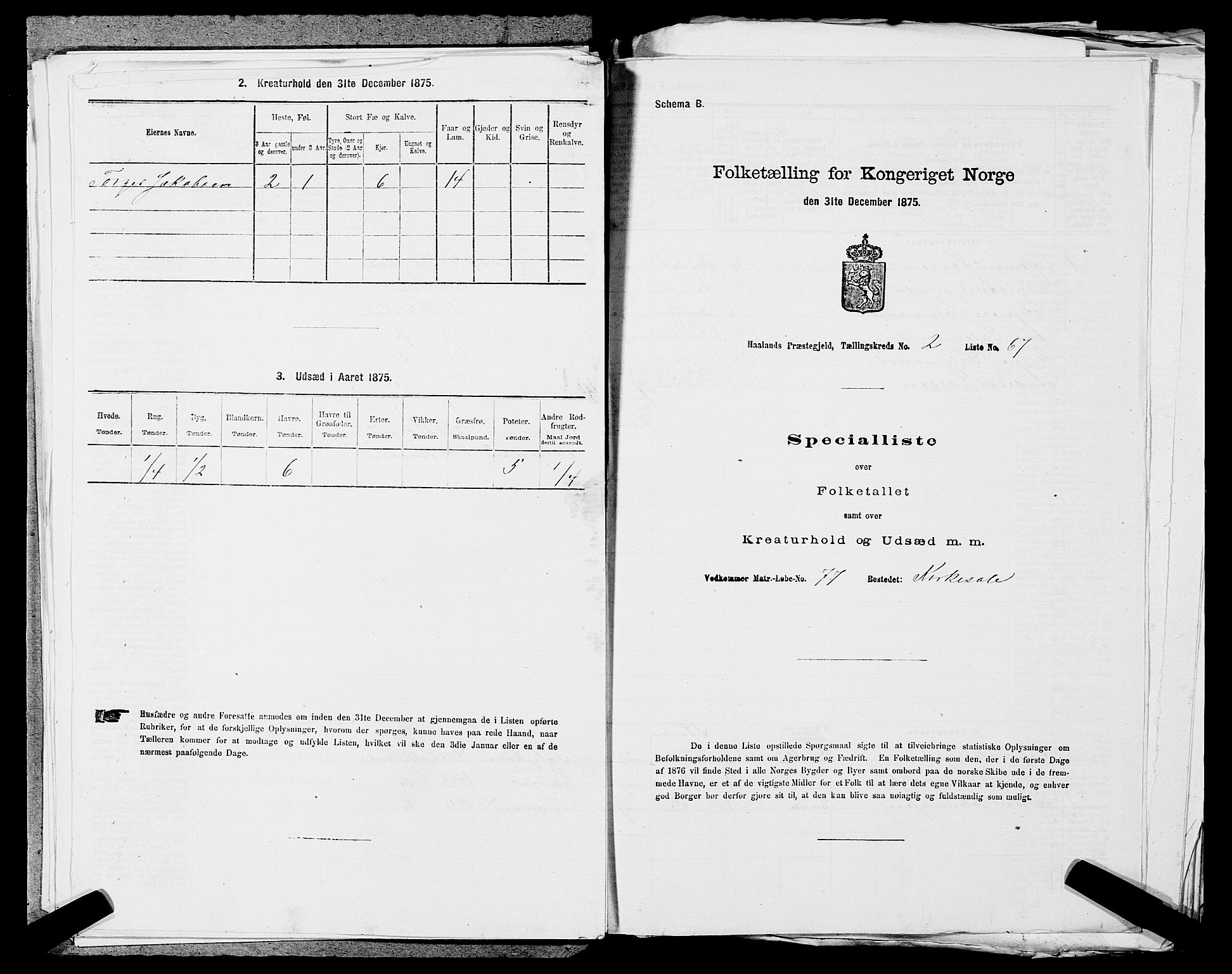 SAST, 1875 census for 1124P Håland, 1875, p. 372