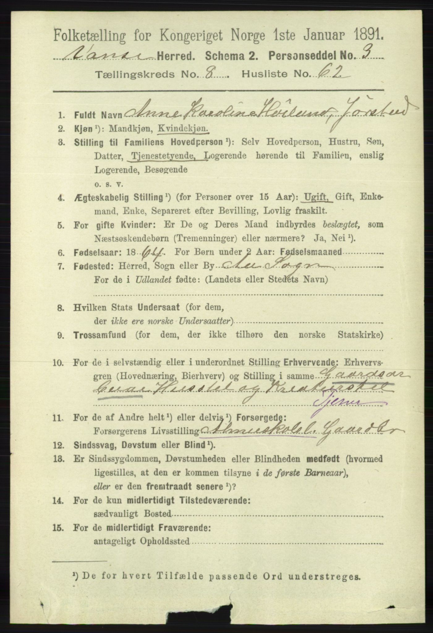 RA, 1891 census for 1041 Vanse, 1891, p. 5211