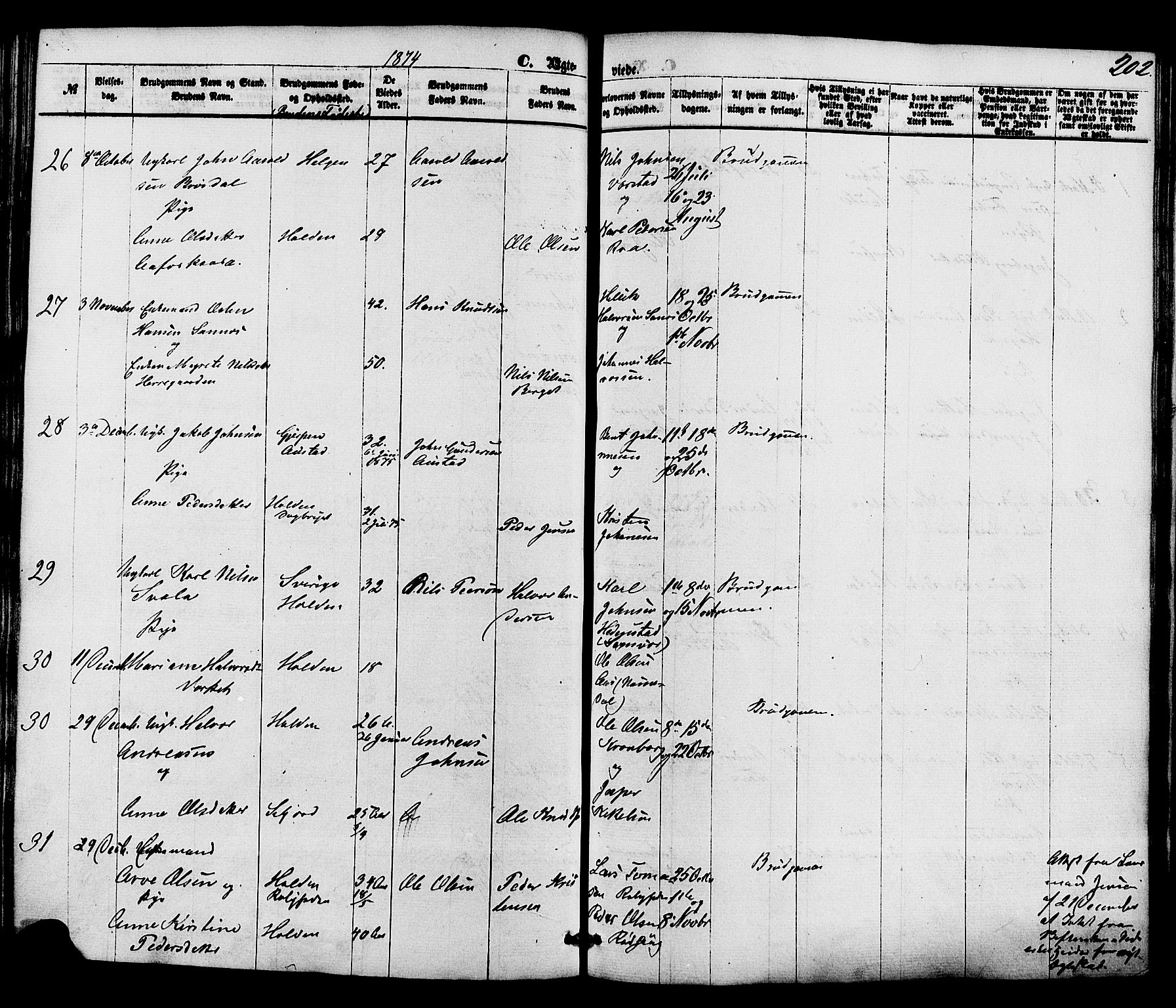 Holla kirkebøker, SAKO/A-272/F/Fa/L0007: Parish register (official) no. 7, 1869-1881, p. 202