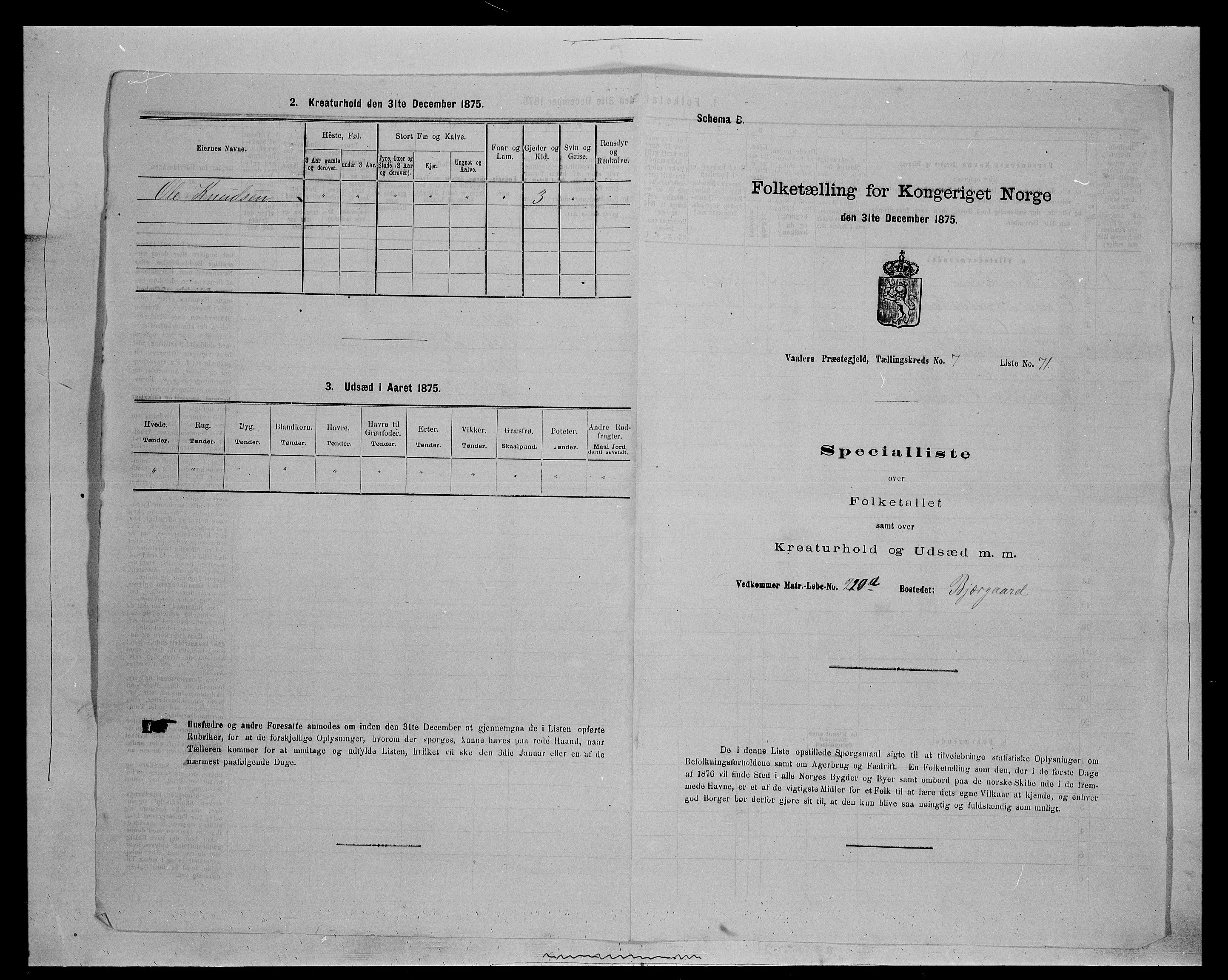 SAH, 1875 census for 0426P Våler parish (Hedmark), 1875, p. 1019