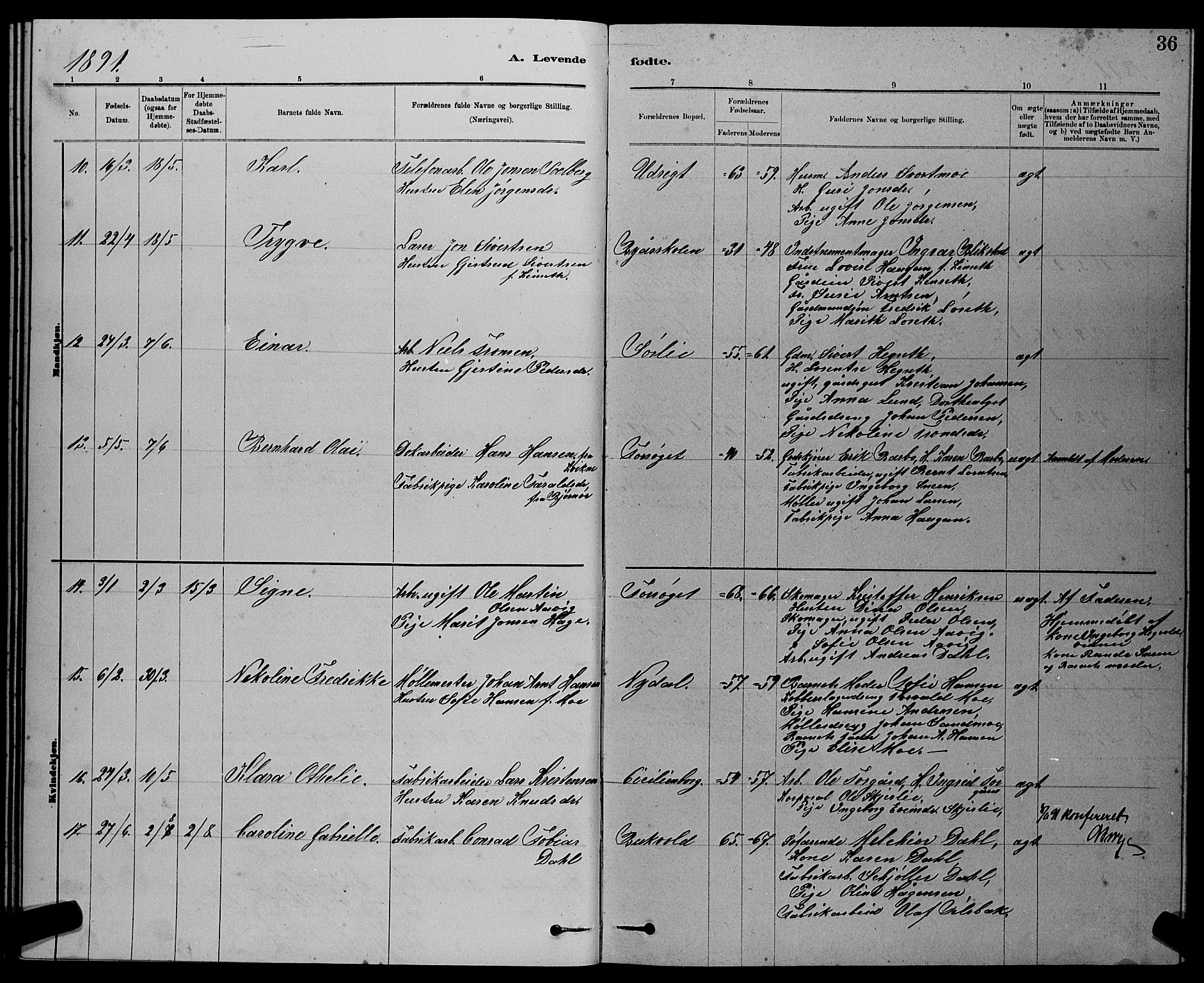 Ministerialprotokoller, klokkerbøker og fødselsregistre - Sør-Trøndelag, SAT/A-1456/611/L0354: Parish register (copy) no. 611C02, 1881-1896, p. 36
