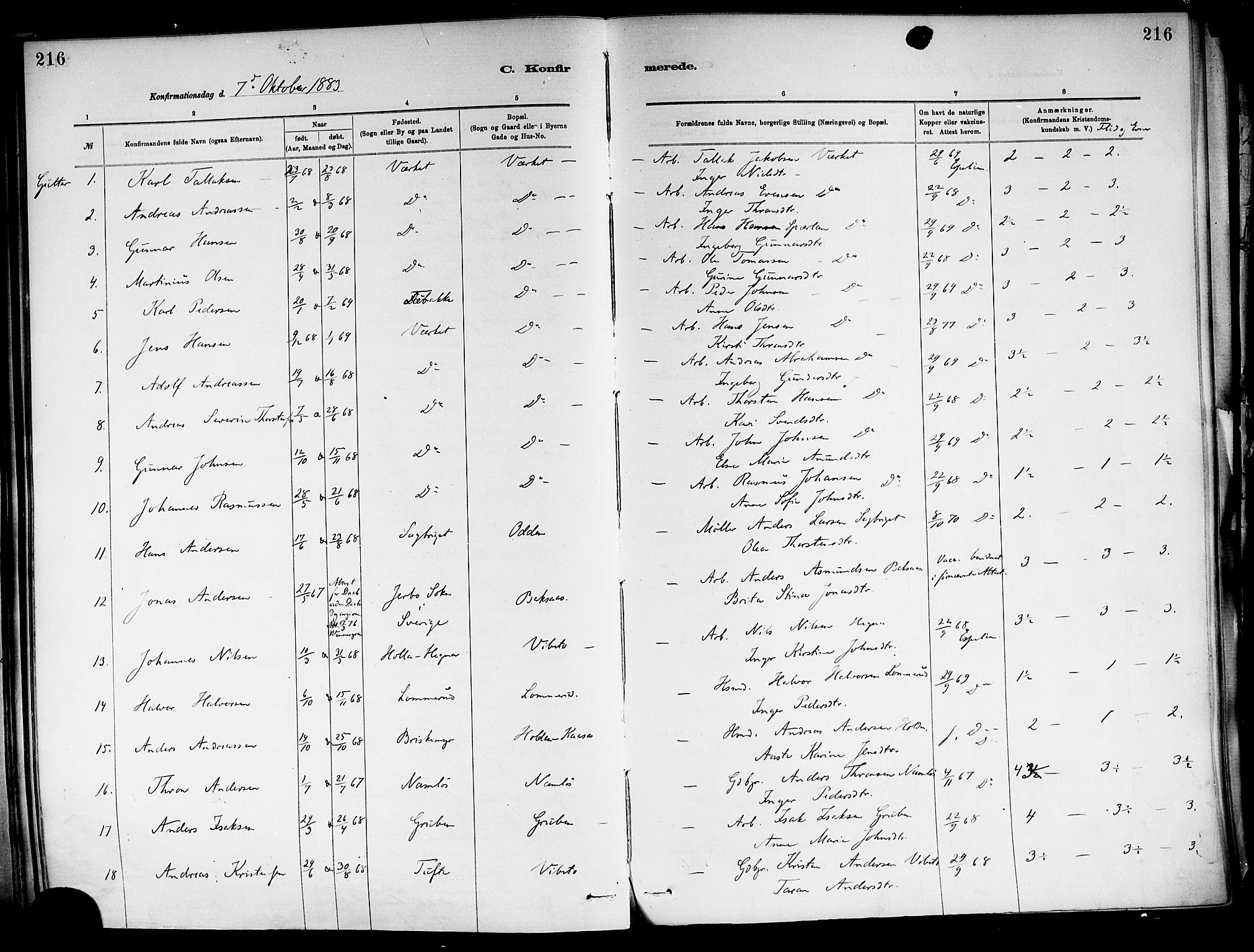 Holla kirkebøker, SAKO/A-272/F/Fa/L0008: Parish register (official) no. 8, 1882-1897, p. 216