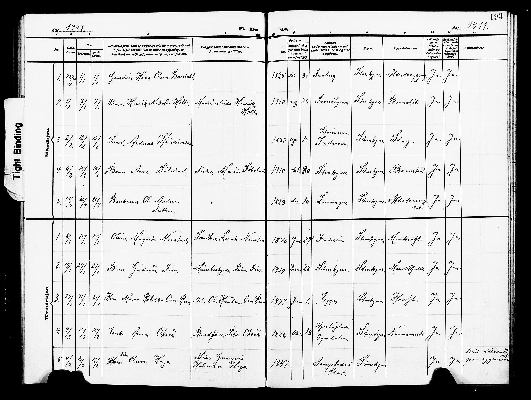 Ministerialprotokoller, klokkerbøker og fødselsregistre - Nord-Trøndelag, SAT/A-1458/739/L0376: Parish register (copy) no. 739C04, 1908-1917, p. 193