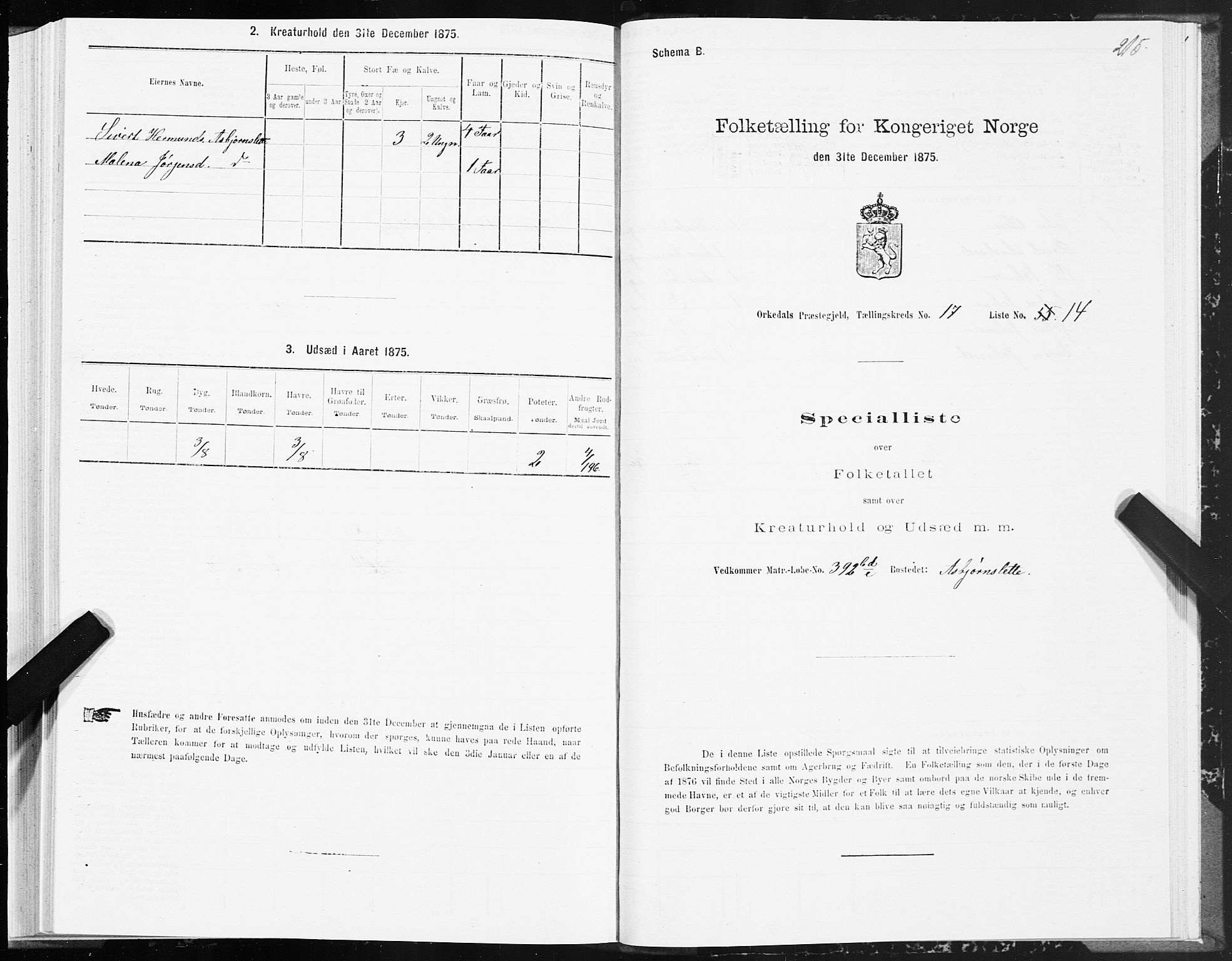 SAT, 1875 census for 1638P Orkdal, 1875, p. 8215