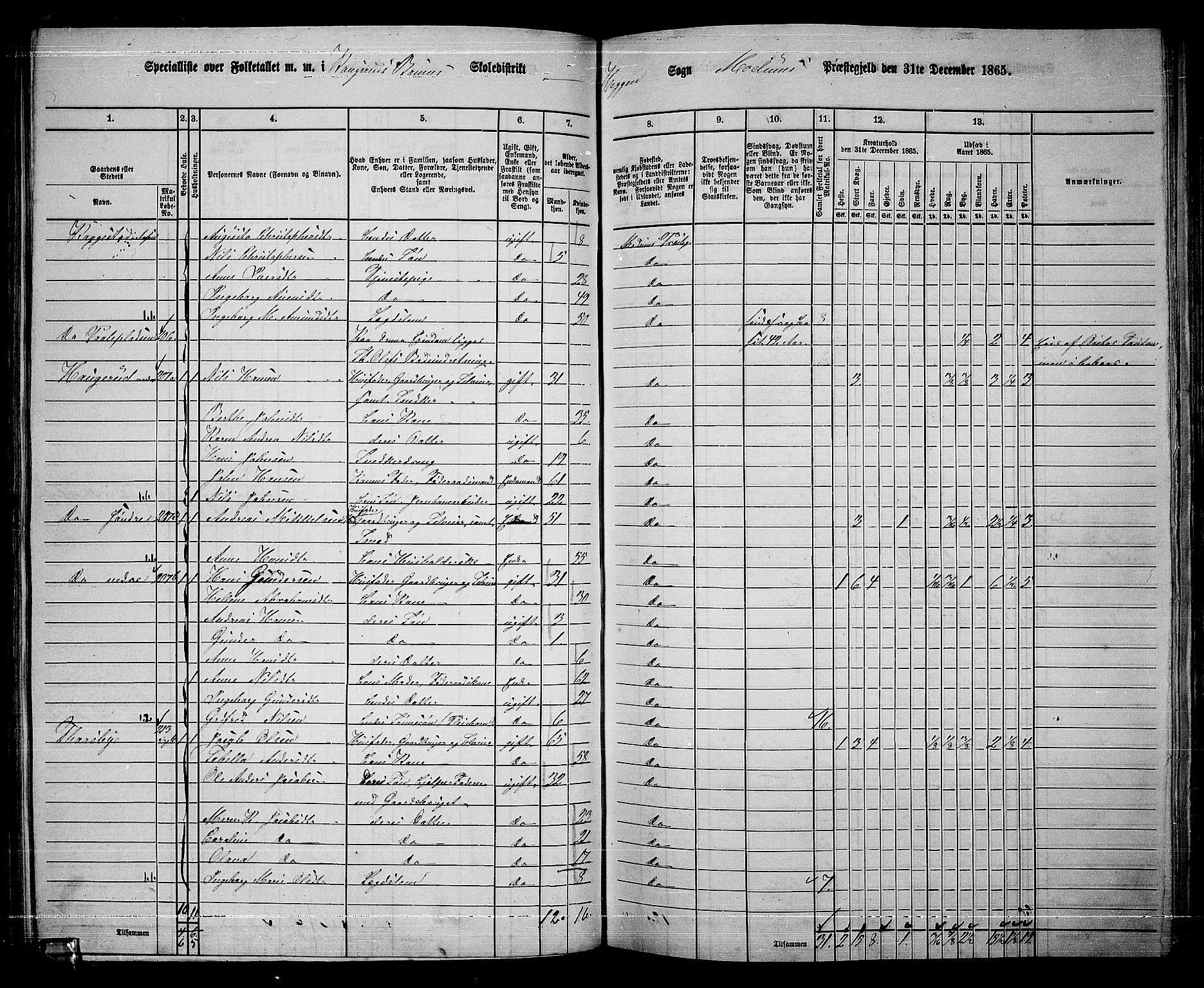RA, 1865 census for Modum, 1865, p. 134