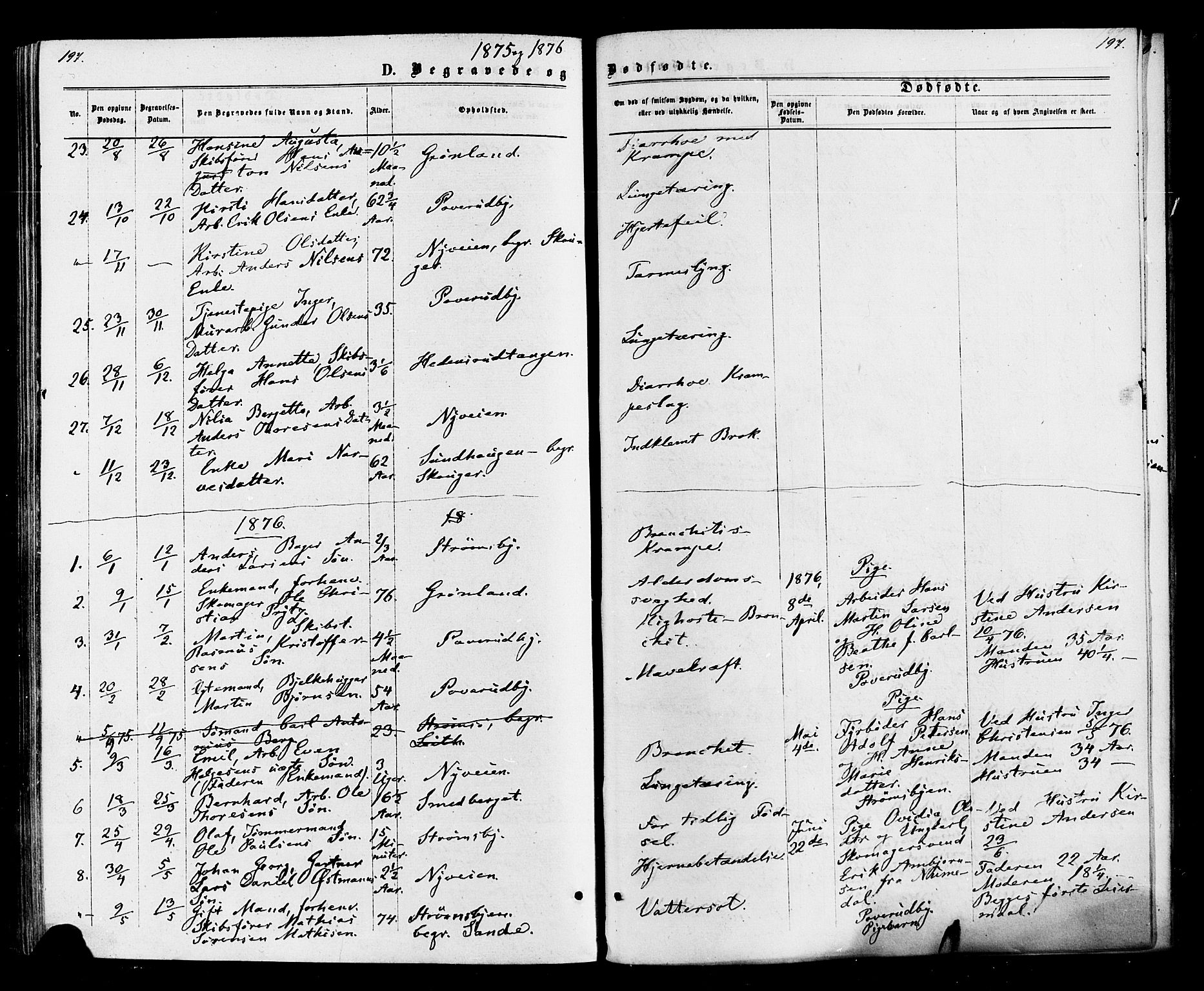 Strømsø kirkebøker, AV/SAKO-A-246/F/Fa/L0020: Parish register (official) no. I 20, 1870-1878, p. 197