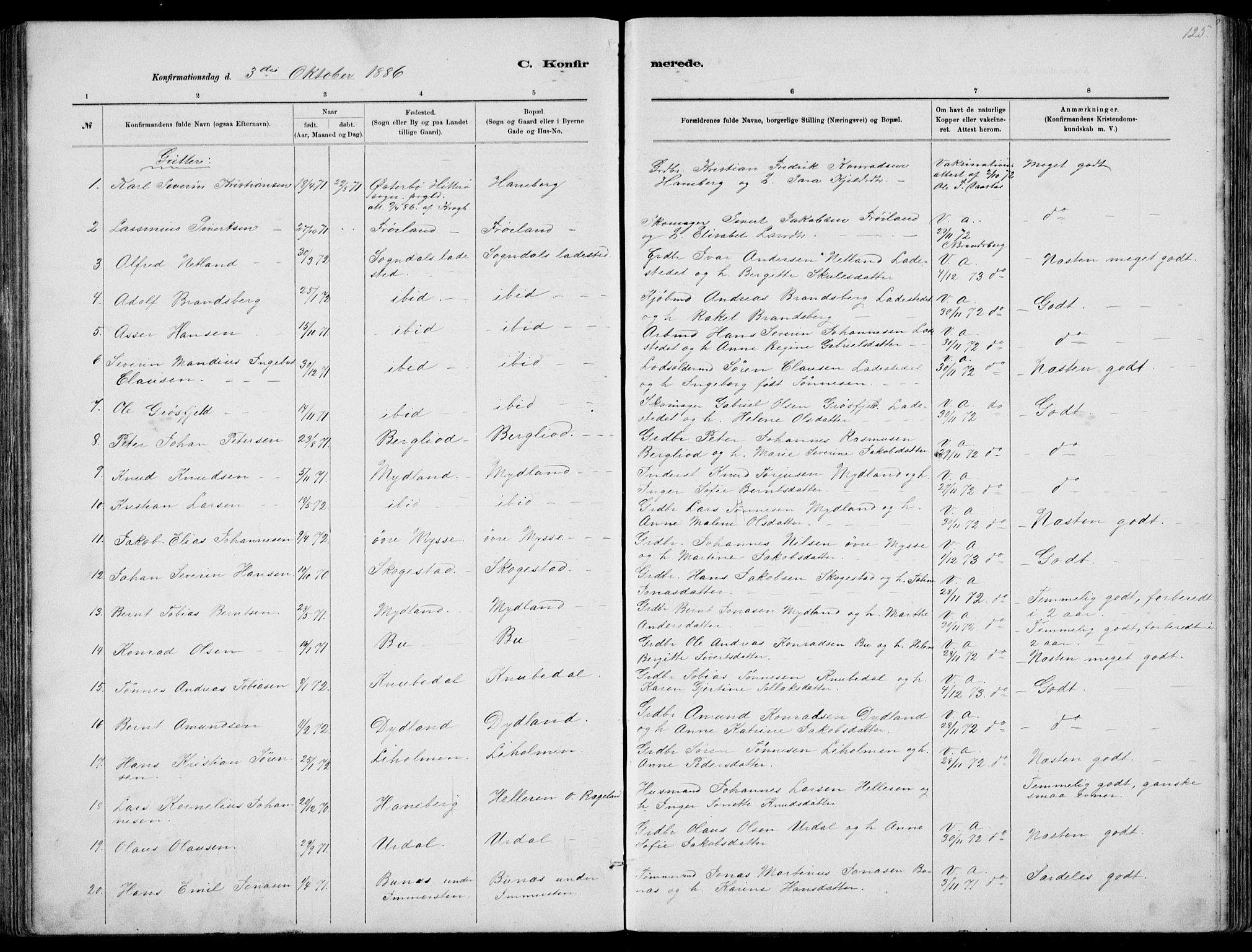 Sokndal sokneprestkontor, AV/SAST-A-101808: Parish register (copy) no. B 4, 1880-1891, p. 125