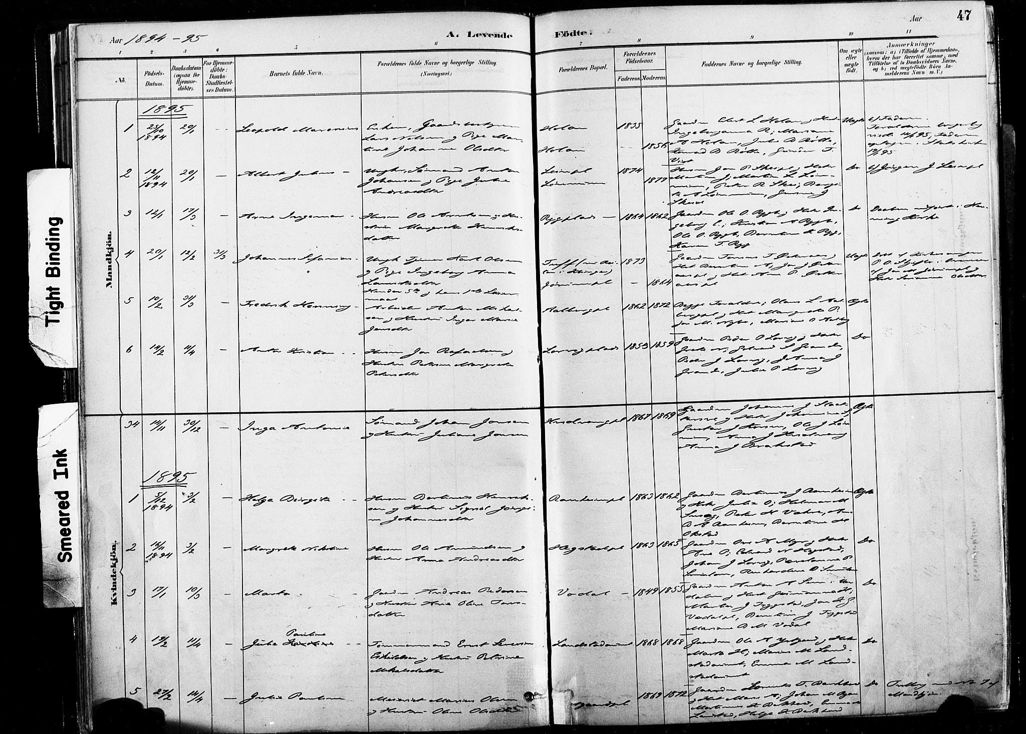Ministerialprotokoller, klokkerbøker og fødselsregistre - Nord-Trøndelag, AV/SAT-A-1458/735/L0351: Parish register (official) no. 735A10, 1884-1908, p. 47