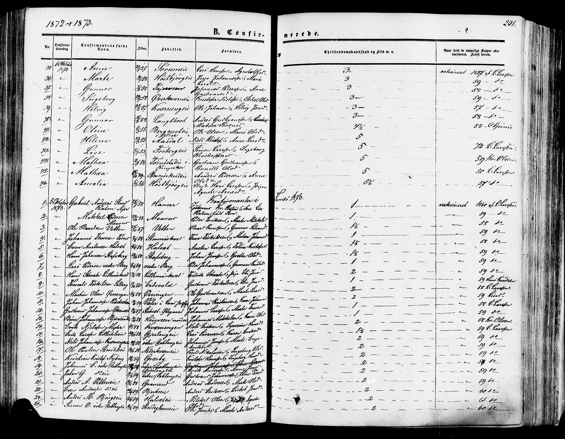 Vang prestekontor, Hedmark, AV/SAH-PREST-008/H/Ha/Haa/L0013: Parish register (official) no. 13, 1855-1879, p. 201